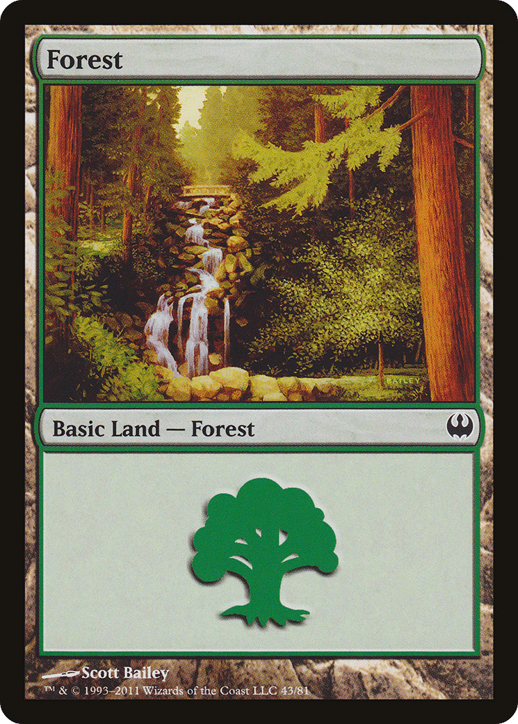 Forest — Duel Decks: Knights vs. Dragons — Magic: The Gathering
