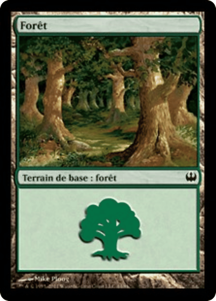 Forêt from Duel Decks: Knights vs. Dragons - Magic: The Gathering