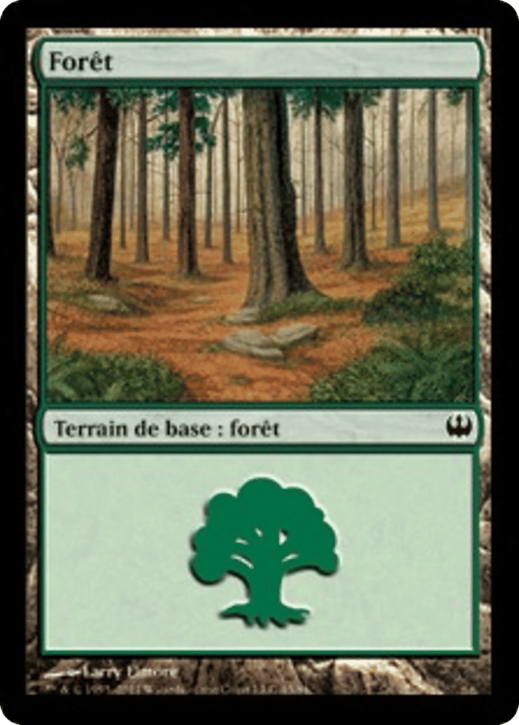 Forêt — Duel Decks: Knights vs. Dragons — Magic: The Gathering