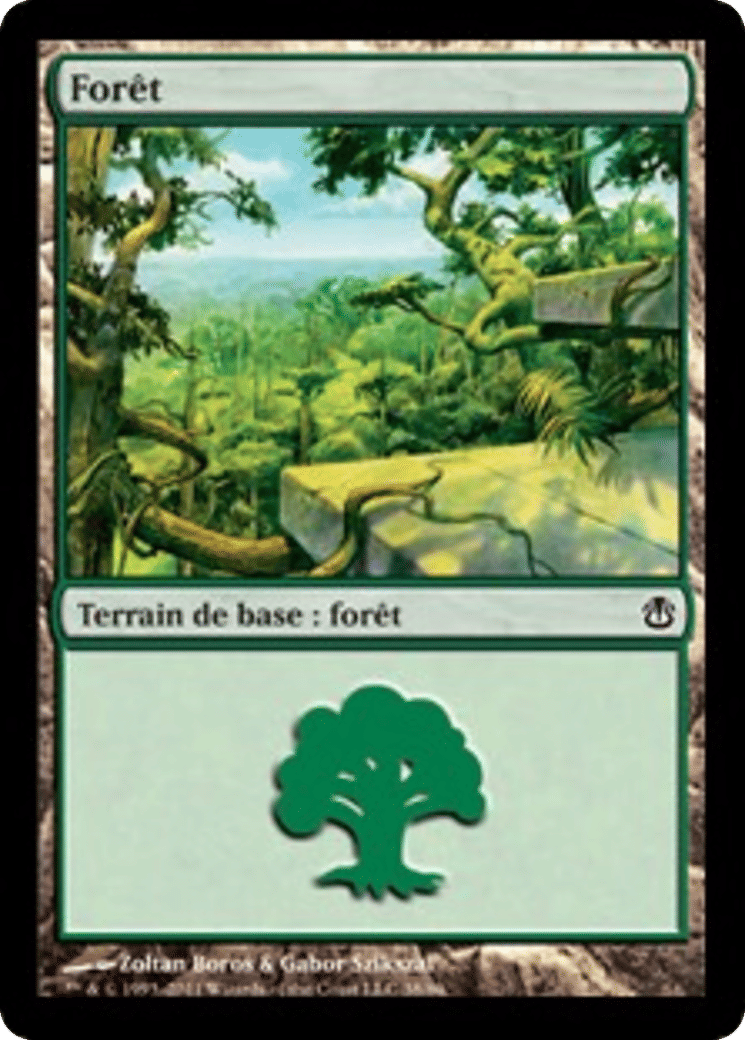 Forêt — Duel Decks: Ajani vs. Nicol Bolas — Magic: The Gathering