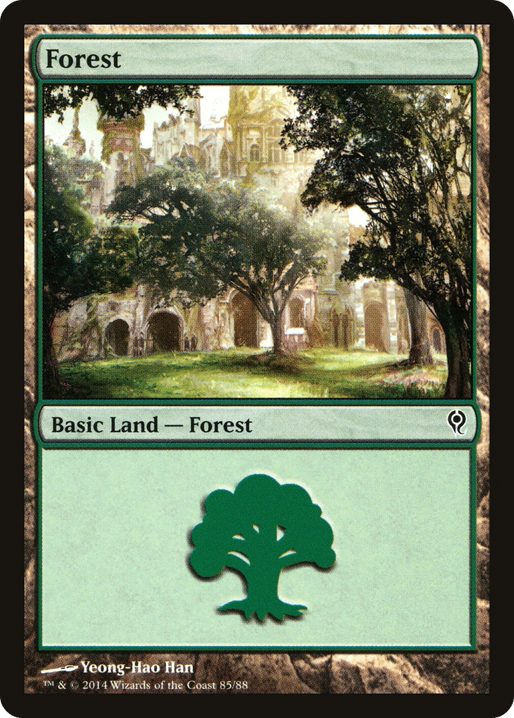 Forest — Duel Decks: Jace vs. Vraska — Magic: The Gathering