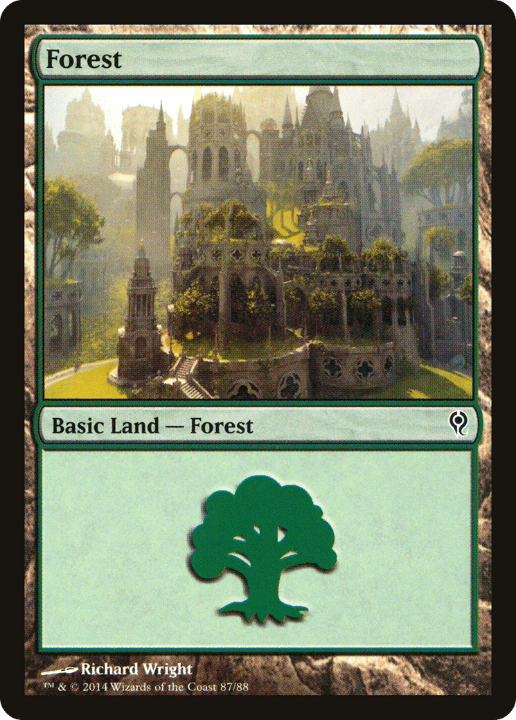 Forest — Duel Decks: Jace vs. Vraska — Magic: The Gathering