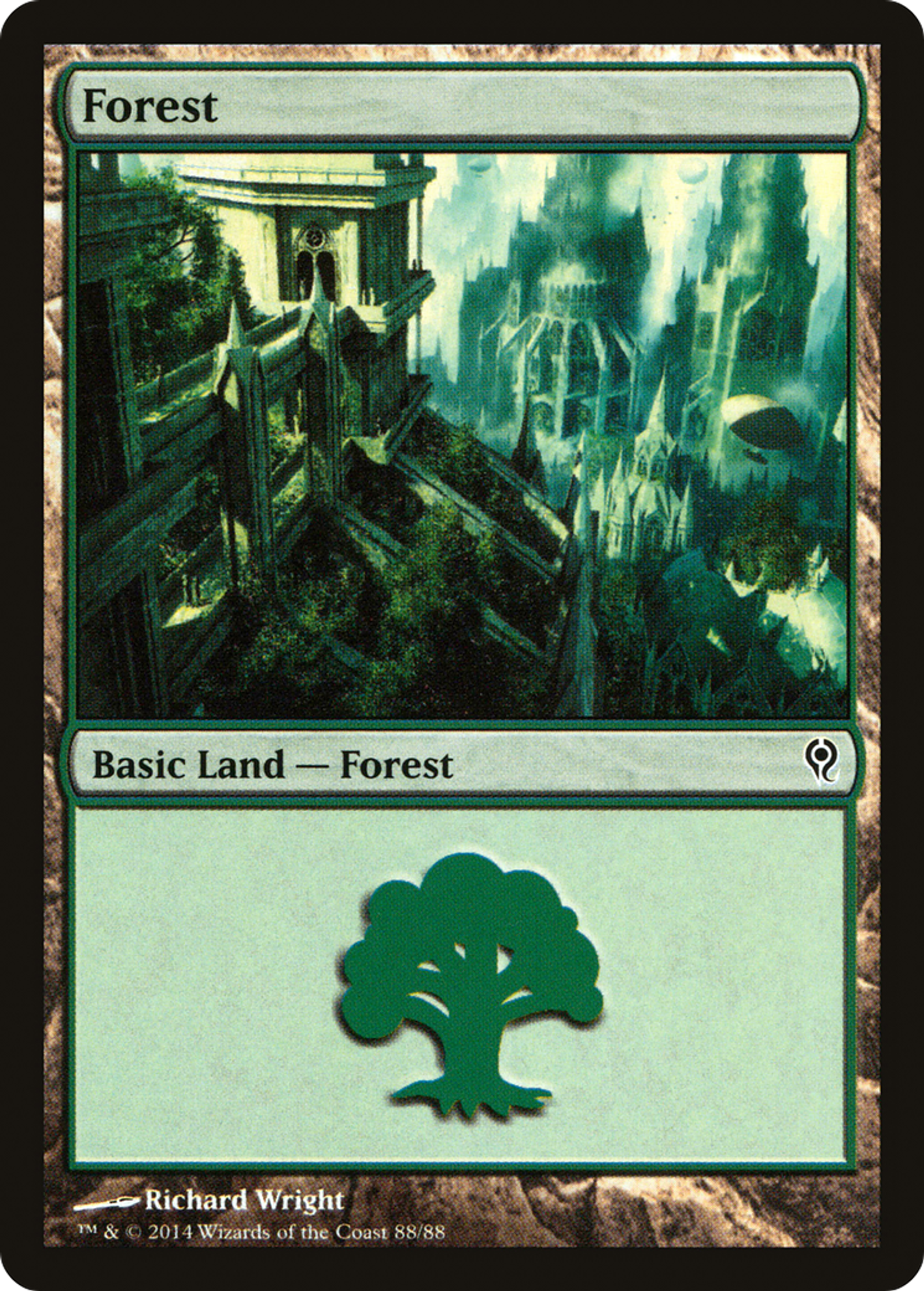 Forest — Duel Decks: Jace vs. Vraska — Magic: The Gathering