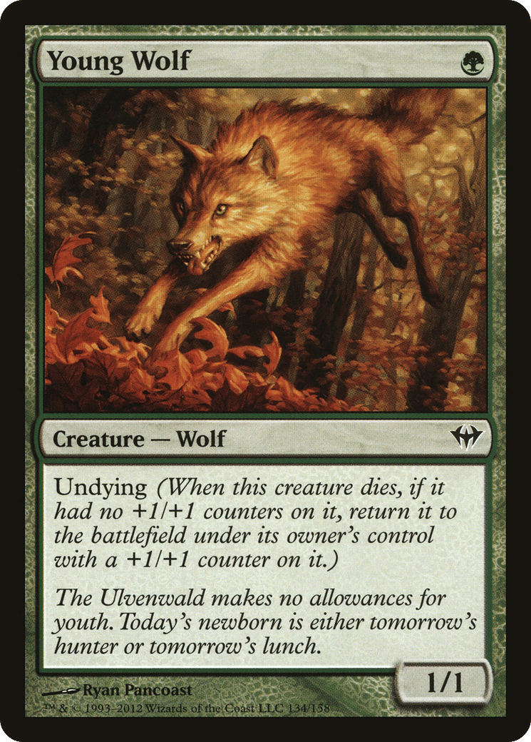 Young Wolf — Dark Ascension — Magic: The Gathering