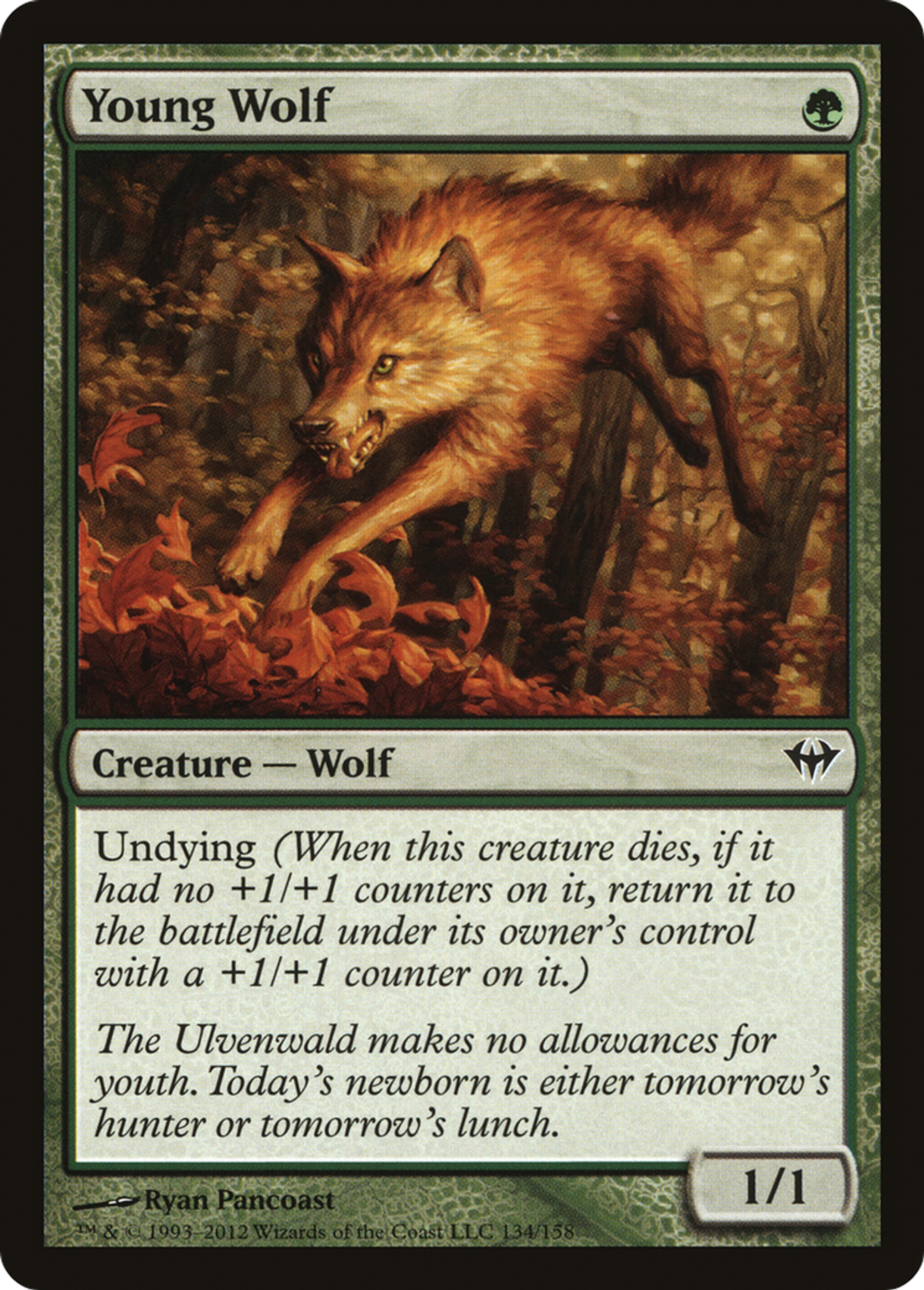 Young Wolf — Dark Ascension — Magic: The Gathering