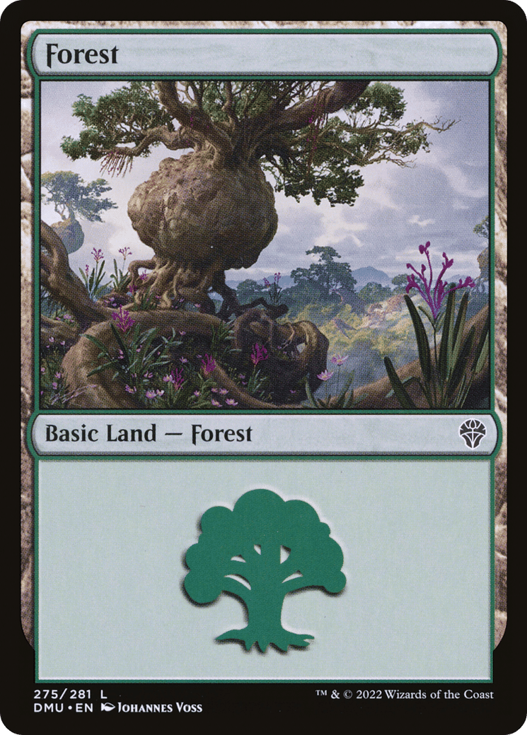 Forest — Dominaria United — Magic: The Gathering