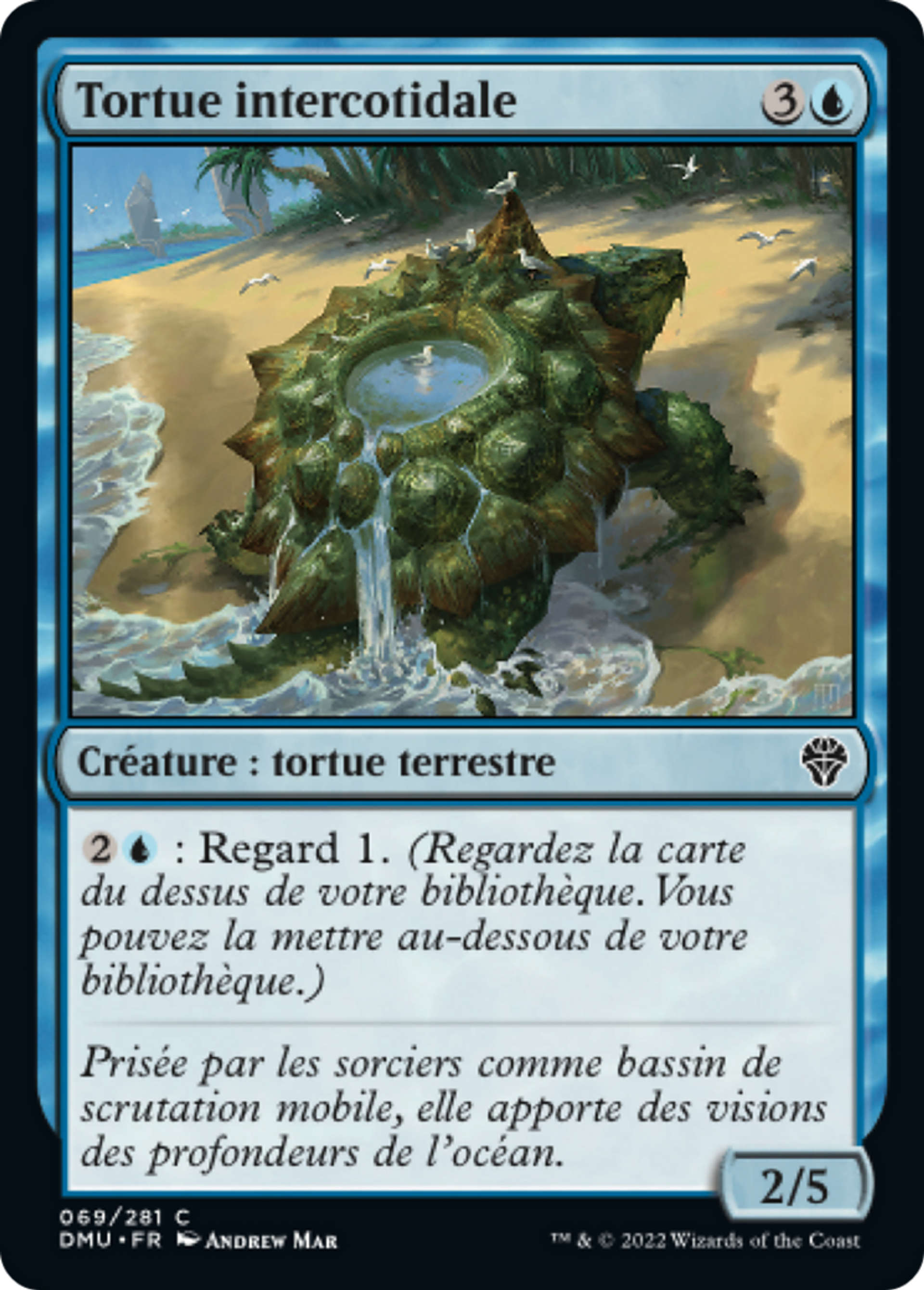 Tortue intercotidale — Dominaria United — Magic: The Gathering