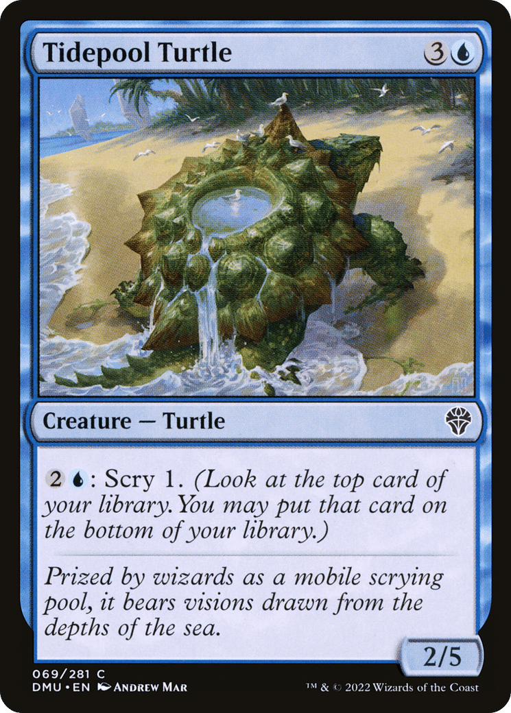Tidepool Turtle — Dominaria United — Magic: The Gathering