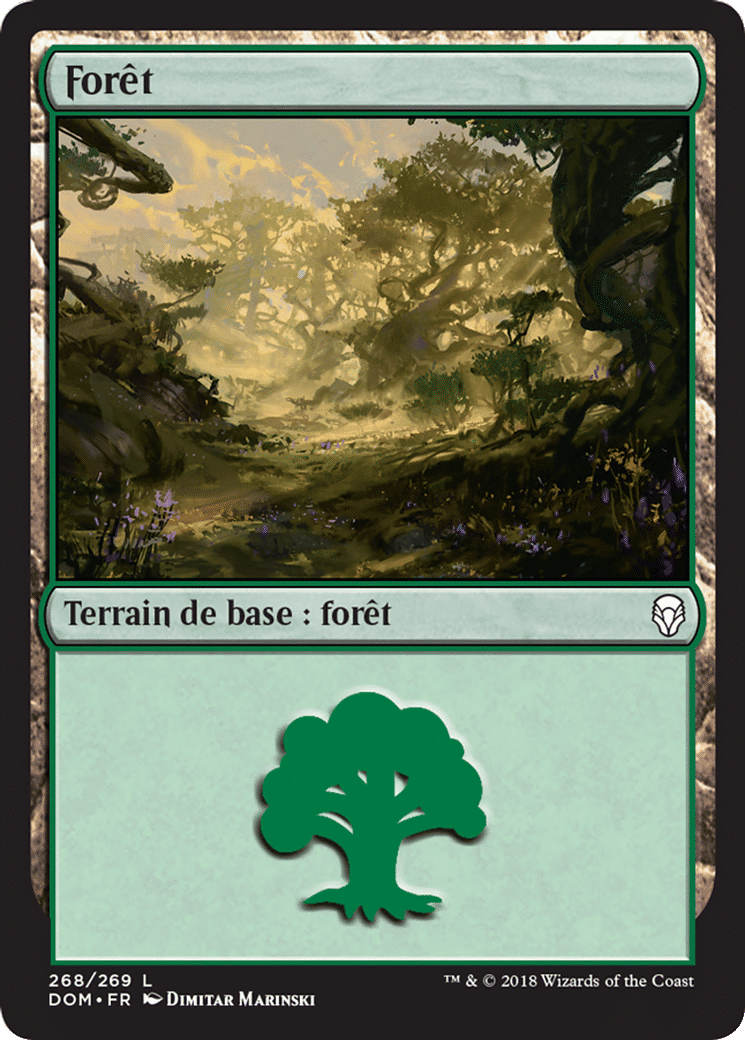 Forêt — Dominaria — Magic: The Gathering