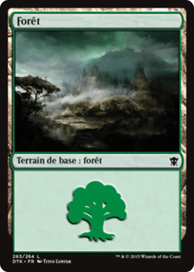 Forêt — Dragons of Tarkir — Magic: The Gathering