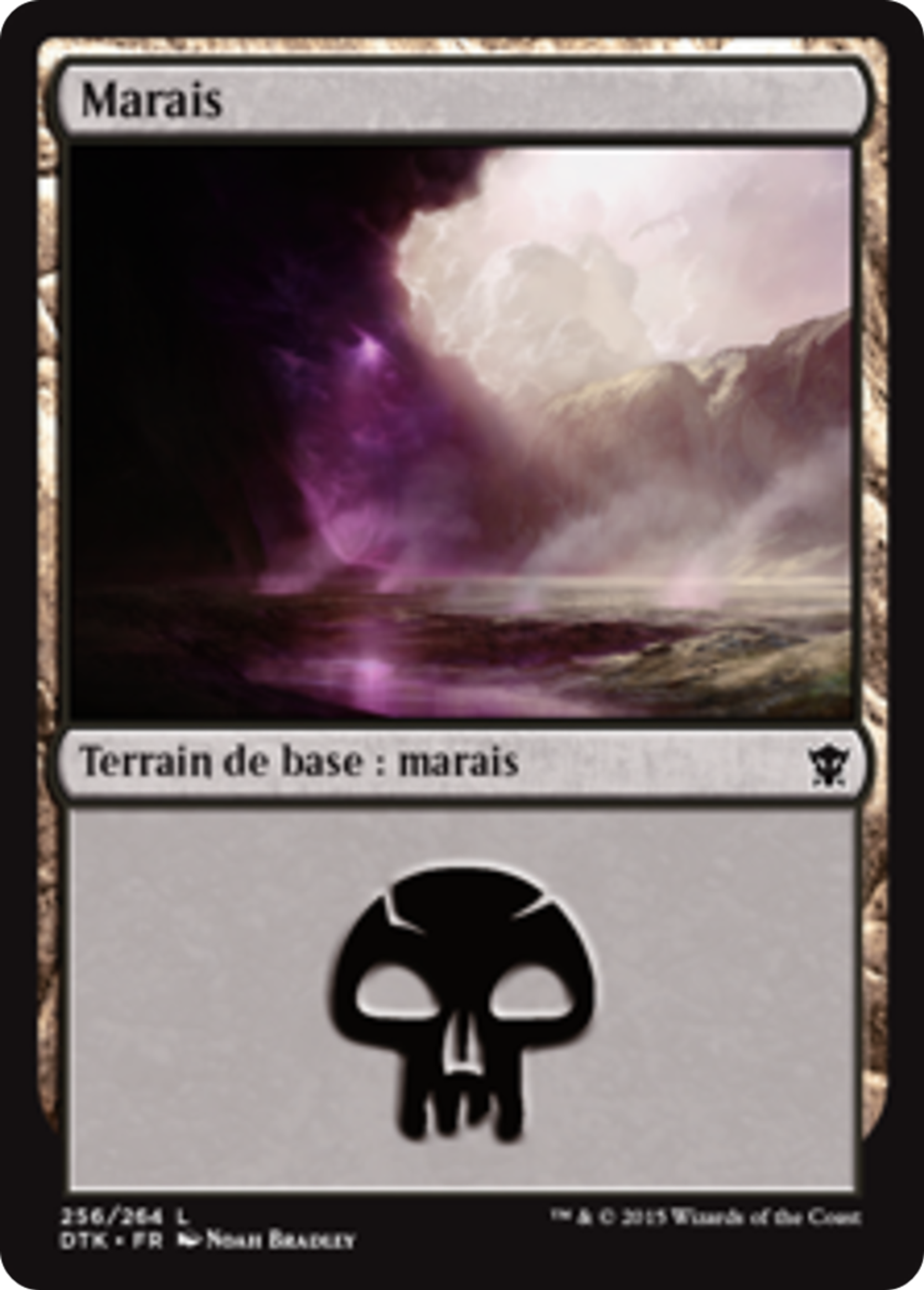 Marais — Dragons of Tarkir — Magic: The Gathering