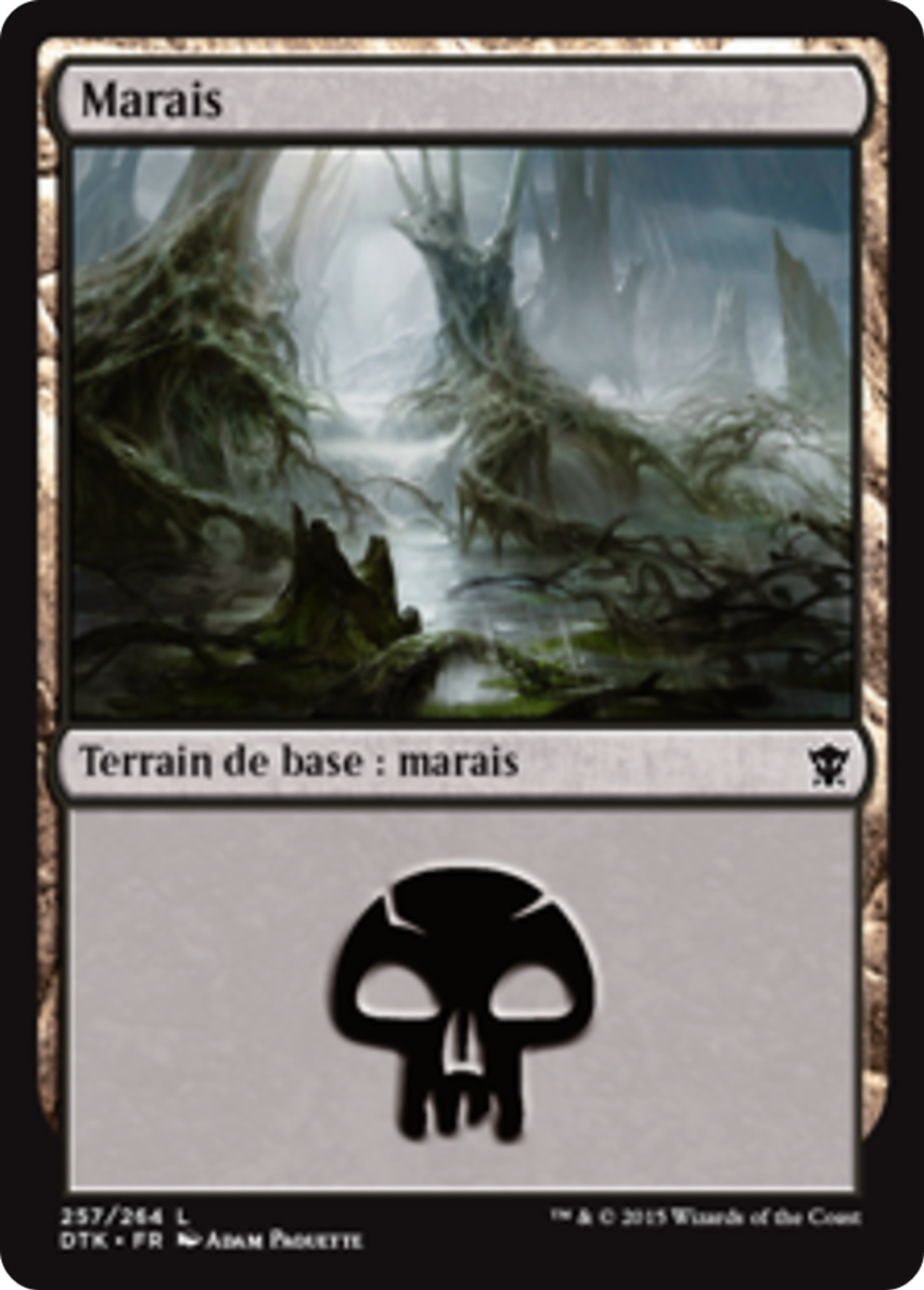 Marais — Dragons of Tarkir — Magic: The Gathering
