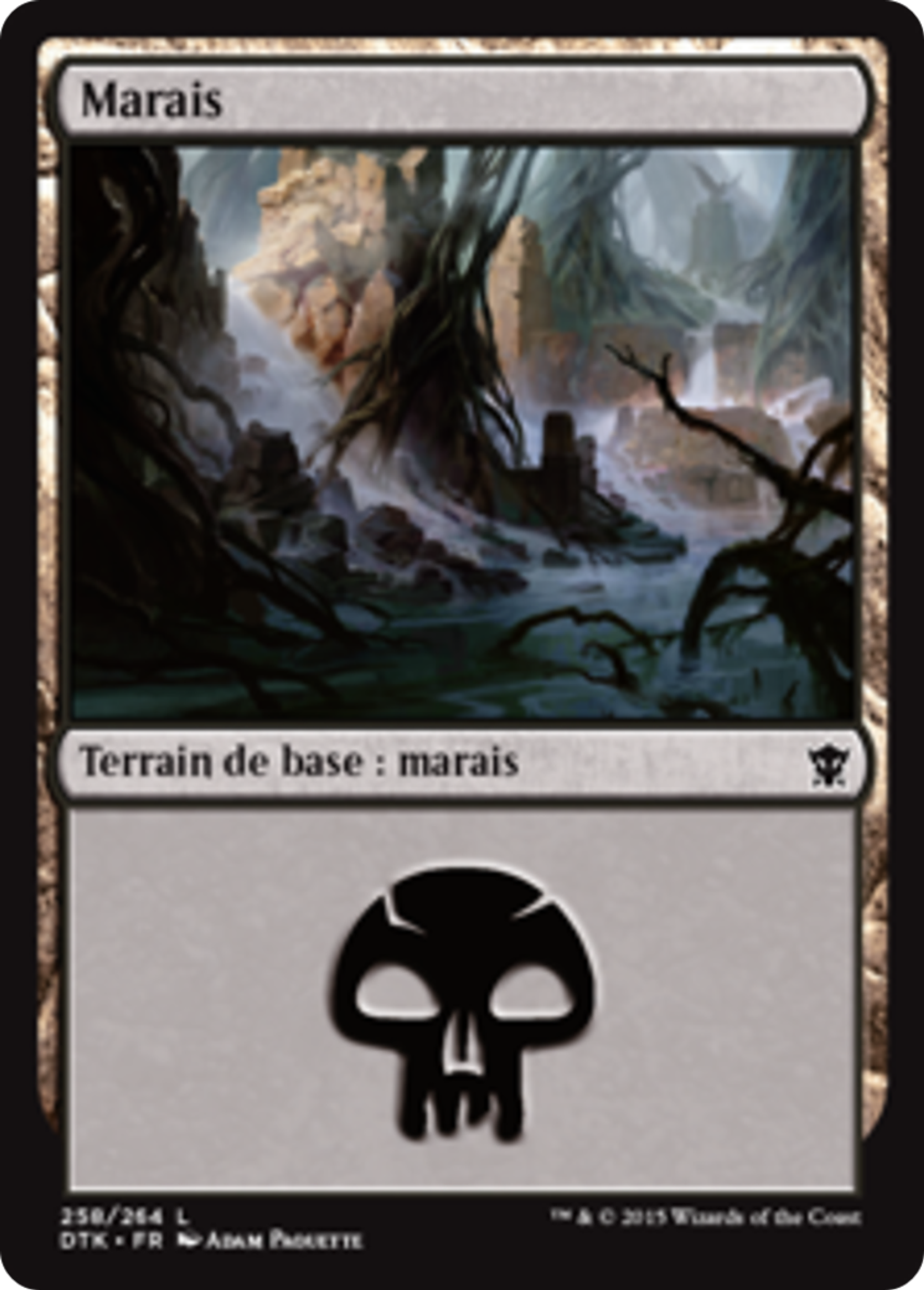 Marais — Dragons of Tarkir — Magic: The Gathering