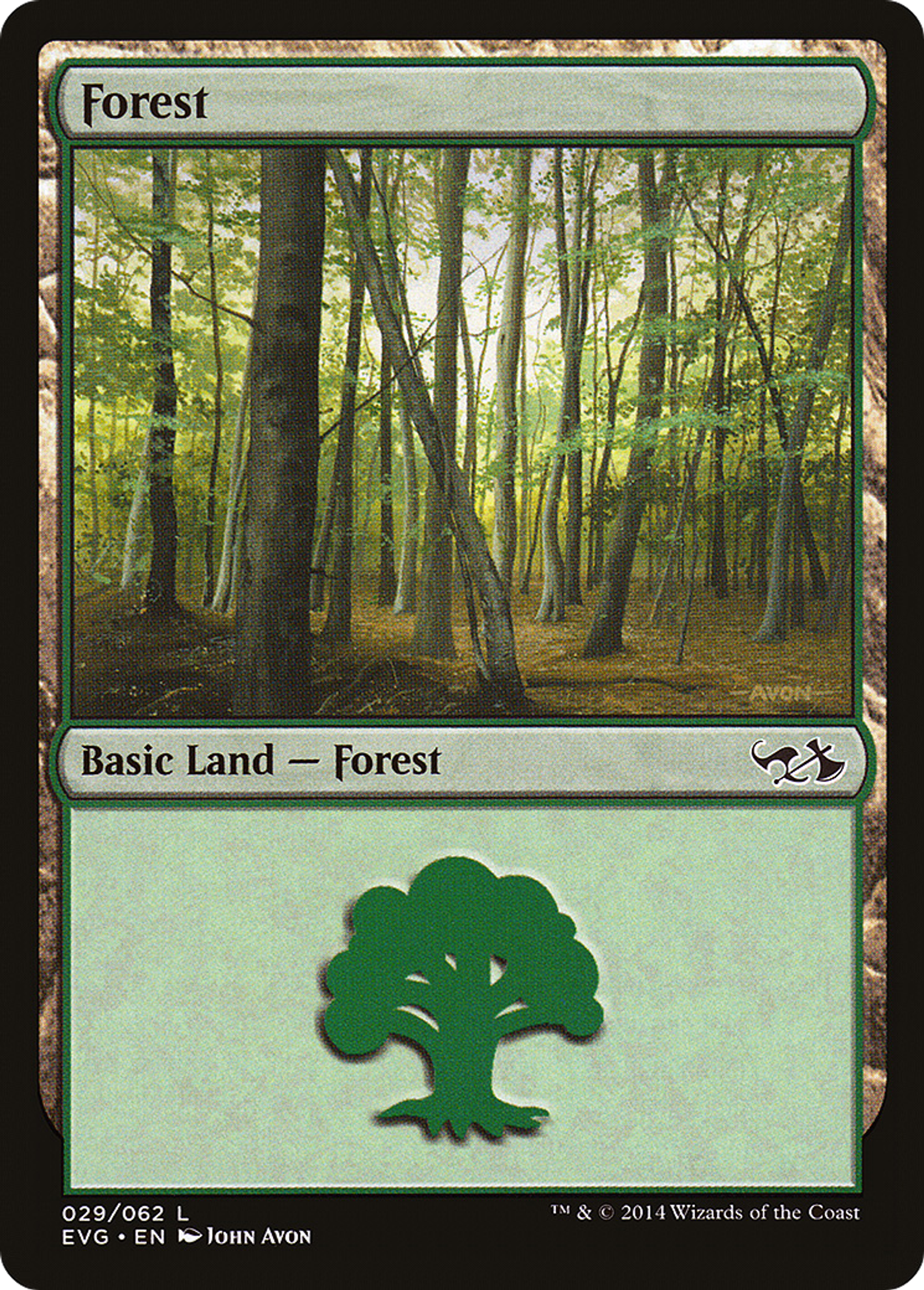 Forest — Duel Decks Anthology: Elves vs. Goblins — Magic: The Gathering