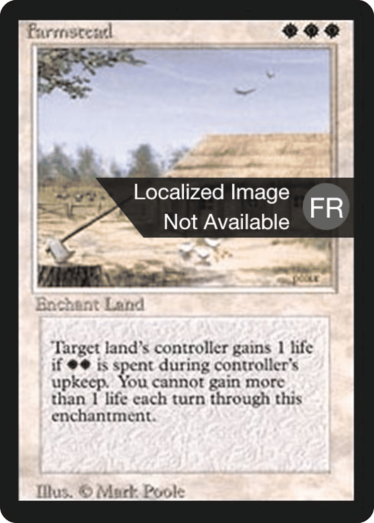 Ferme — Foreign Black Border — Magic: The Gathering