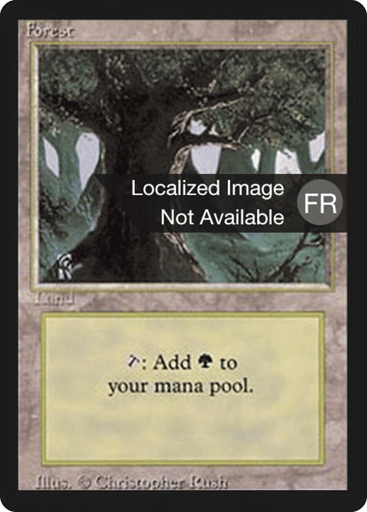 Forêt — Foreign Black Border — Magic: The Gathering
