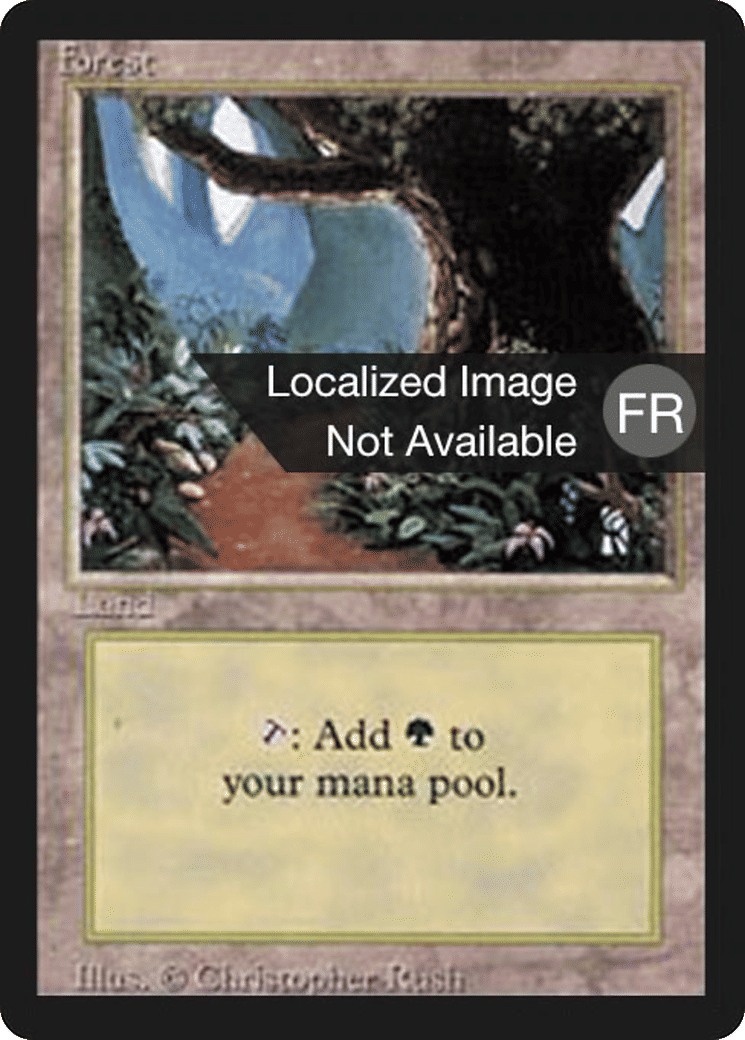Forest — Foreign Black Border — Magic: The Gathering
