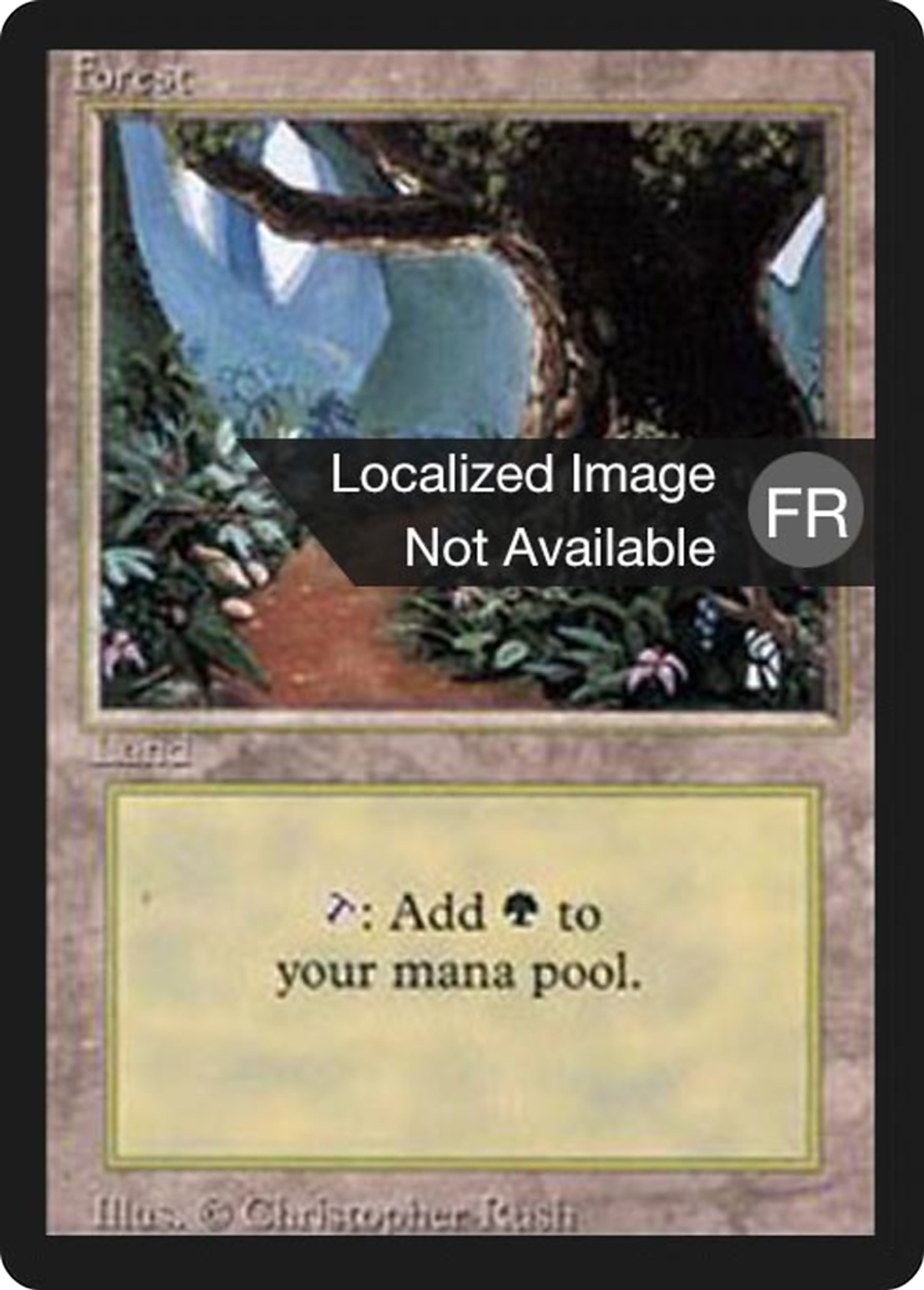 Forêt — Foreign Black Border — Magic: The Gathering