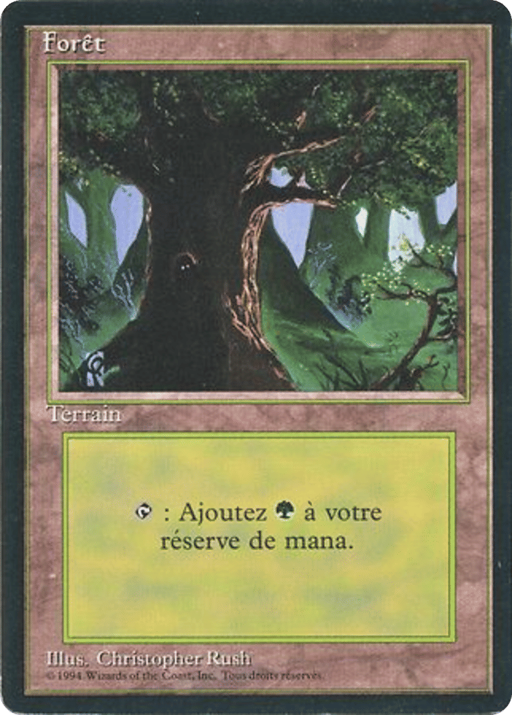 Forest — Foreign Black Border — Magic: The Gathering