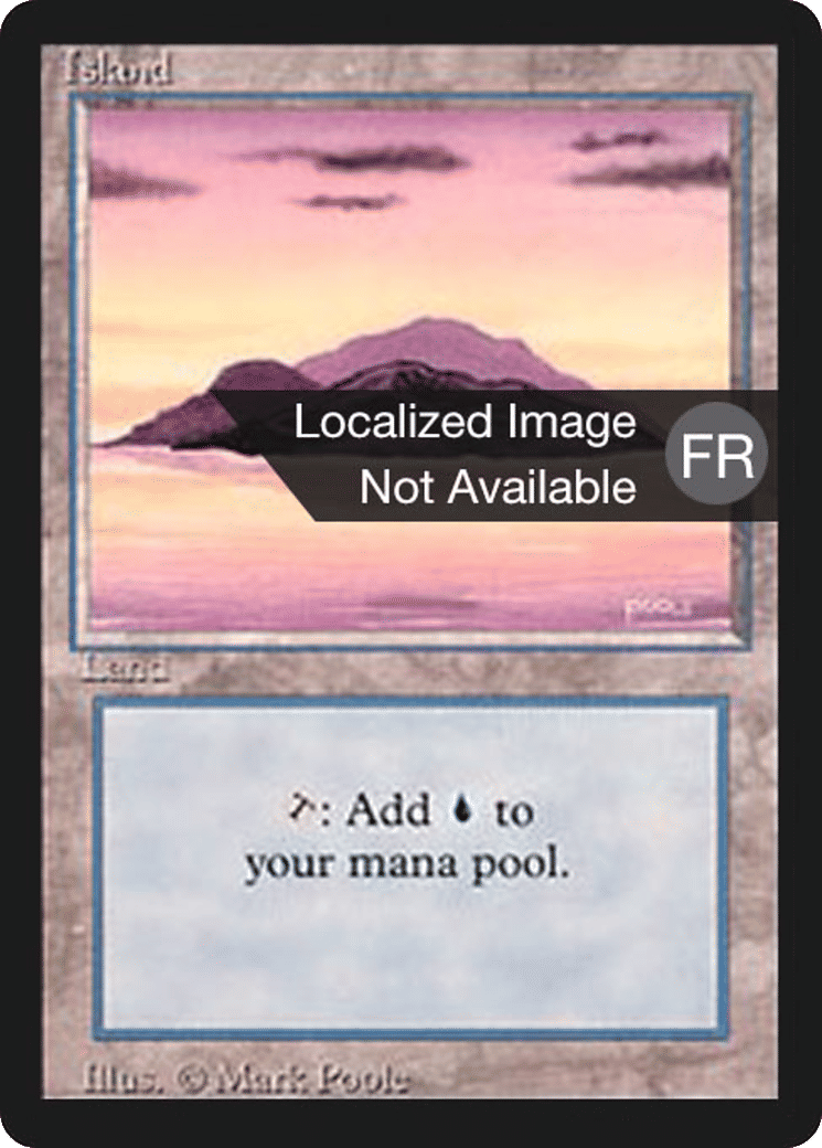 Island — Foreign Black Border — Magic: The Gathering