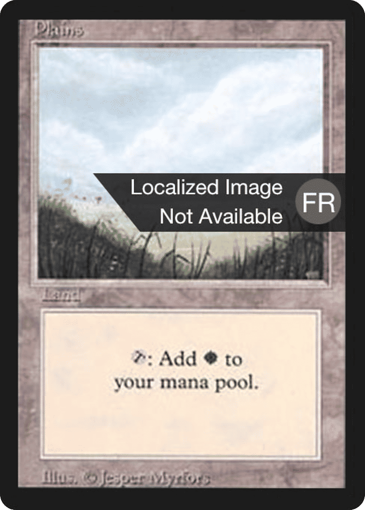 Plaine — Foreign Black Border — Magic: The Gathering
