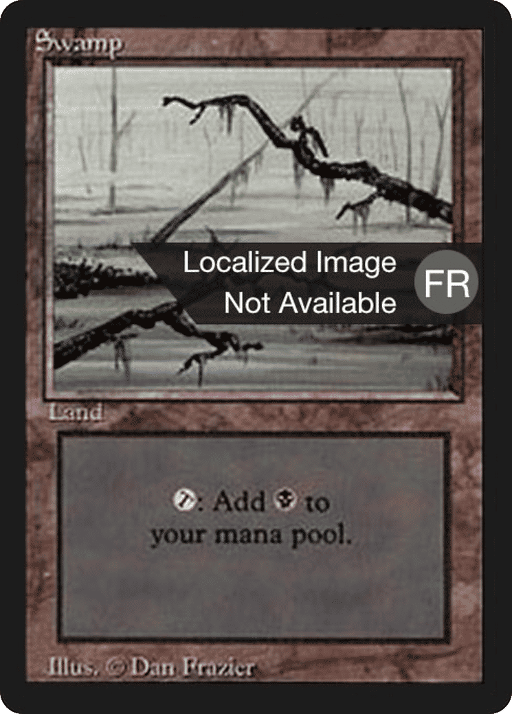 Swamp — Foreign Black Border — Magic: The Gathering
