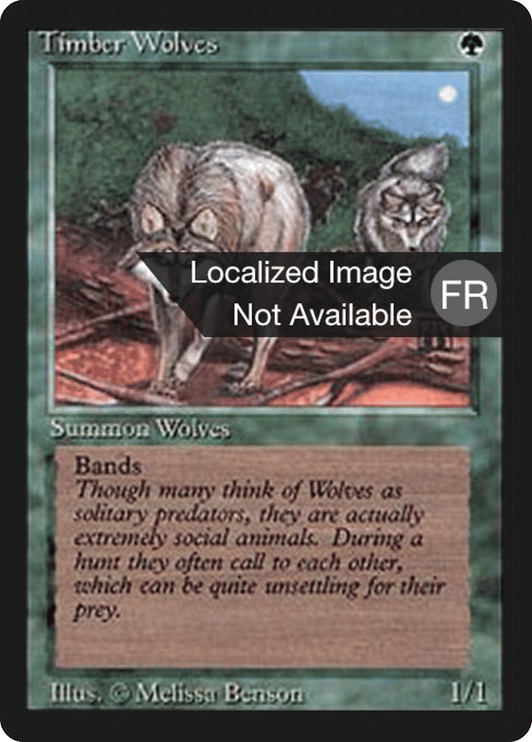 Timber Wolves — Foreign Black Border — Magic: The Gathering