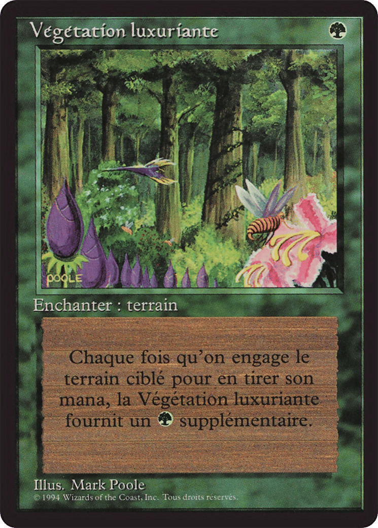 Wild Growth — Foreign Black Border — Magic: The Gathering