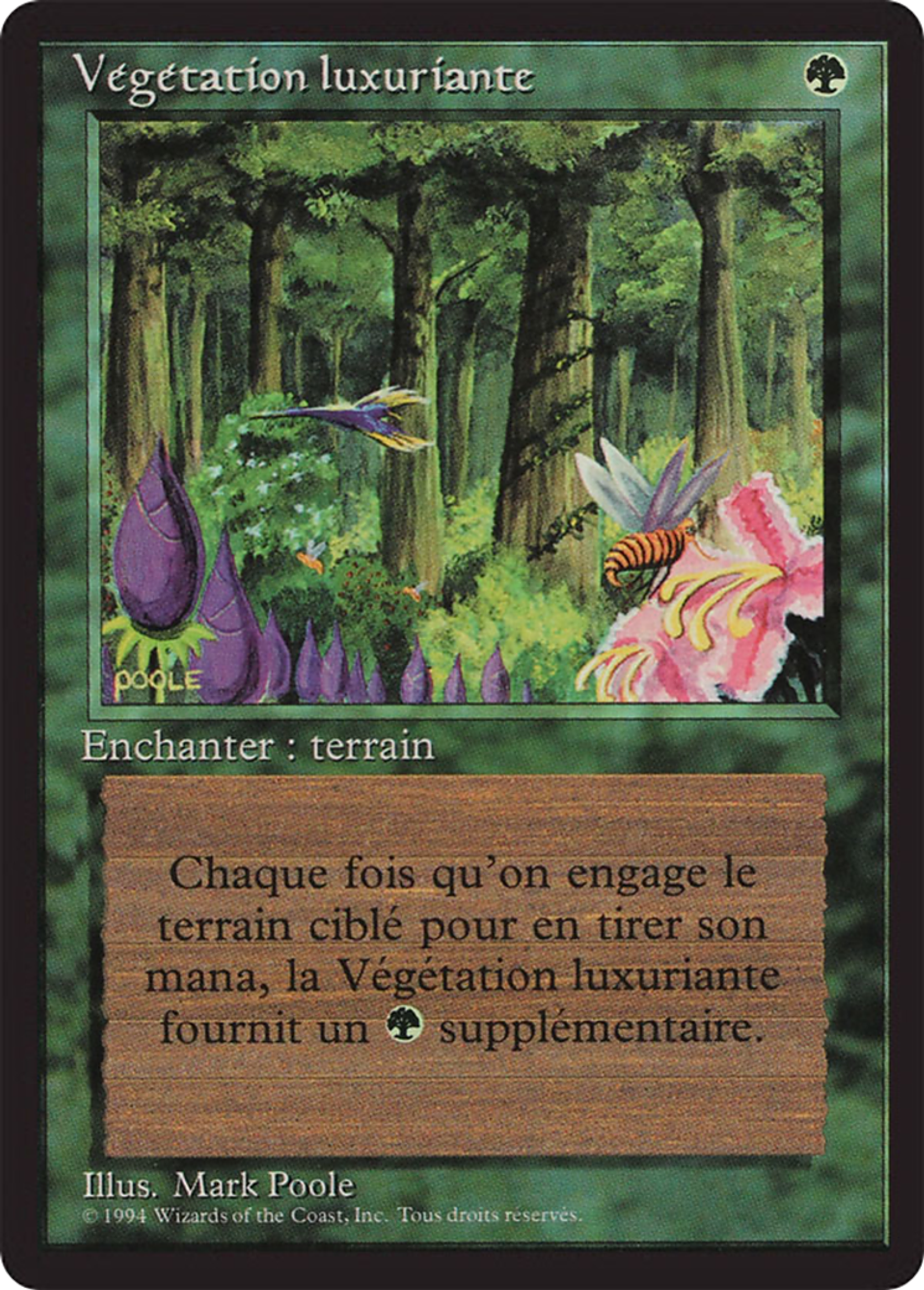 Wild Growth — Foreign Black Border — Magic: The Gathering