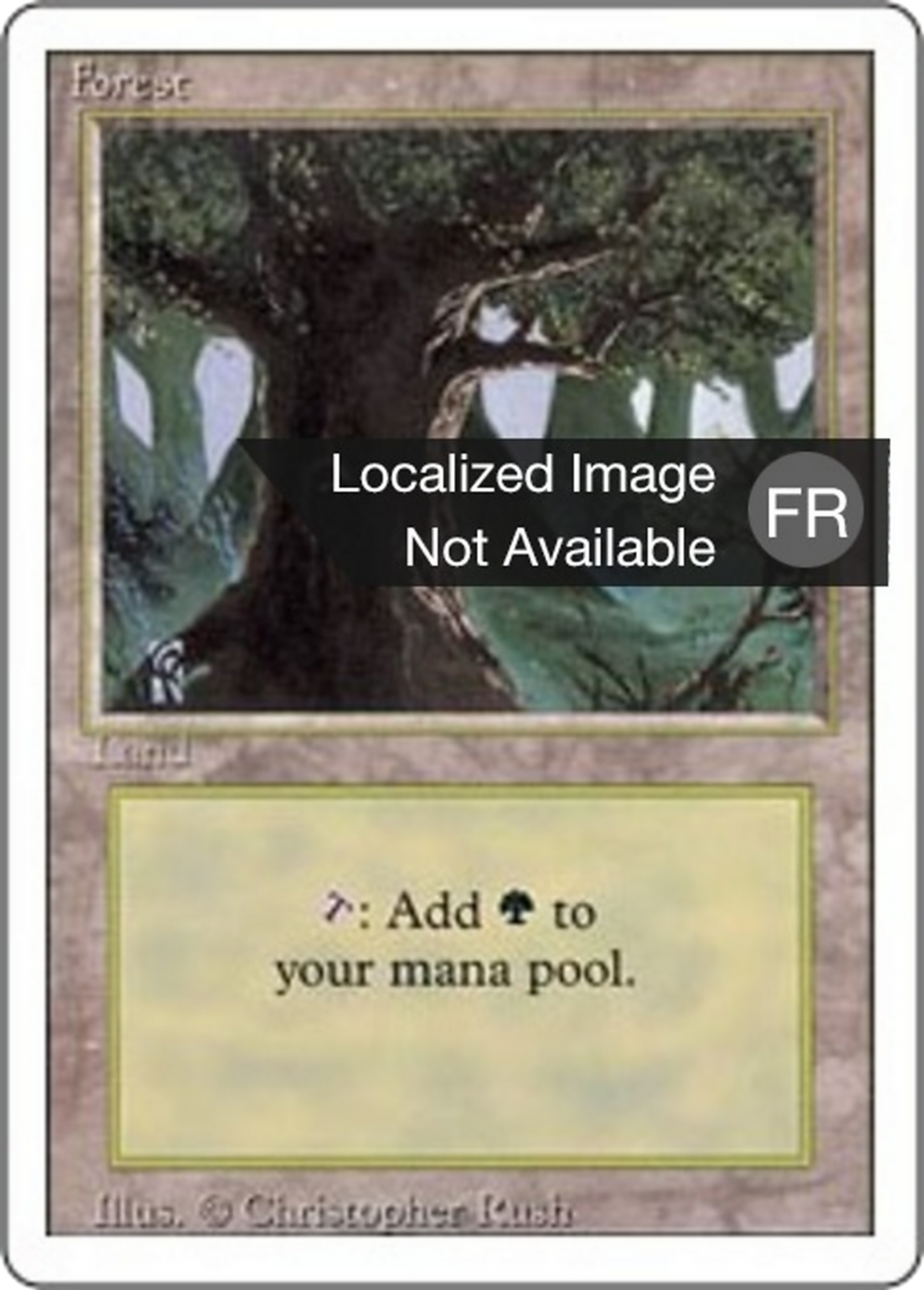 Forêt — Foreign White Border — Magic: The Gathering