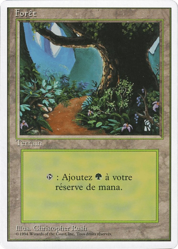 Forêt — Foreign White Border — Magic: The Gathering