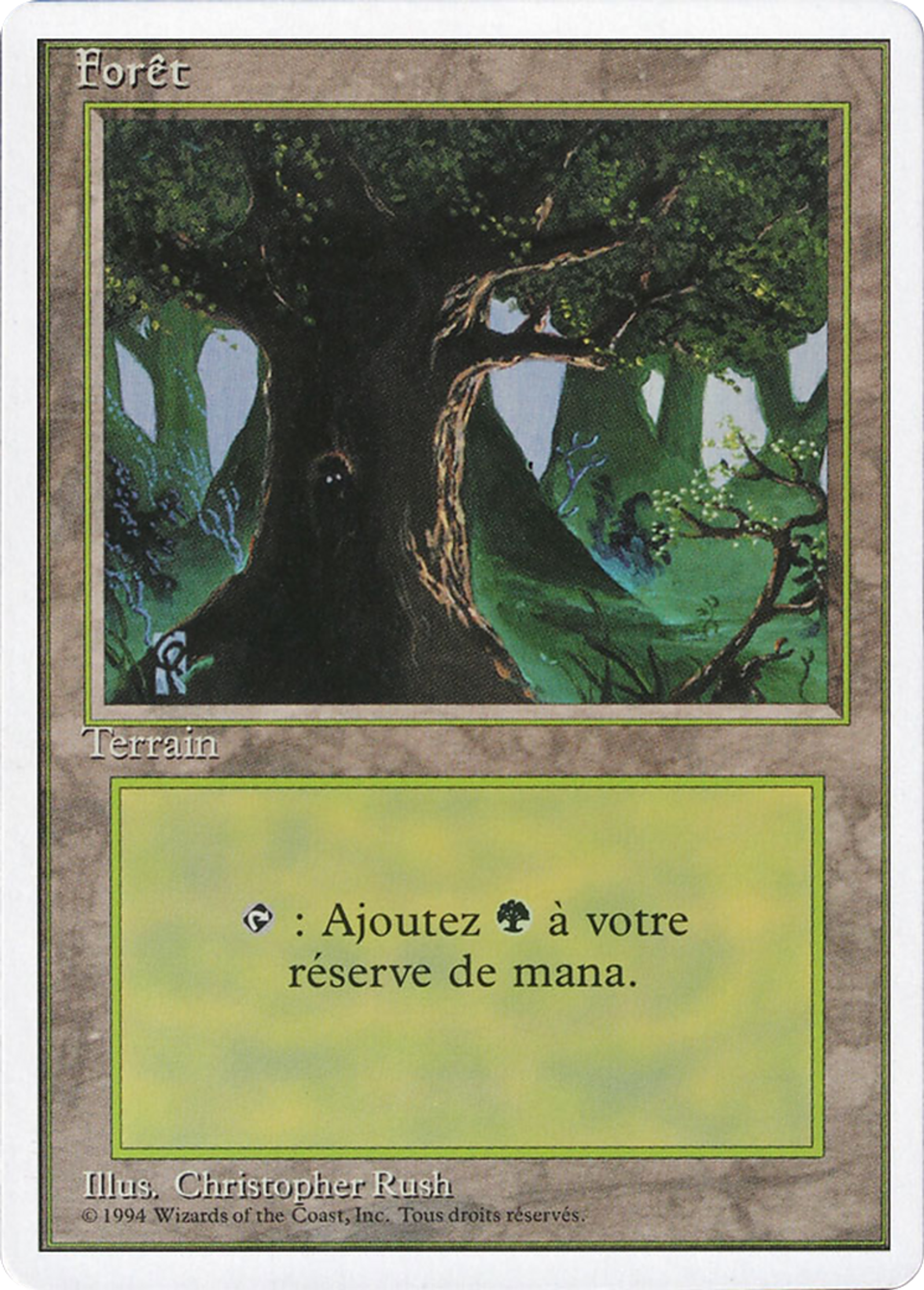 Forêt — Foreign White Border — Magic: The Gathering