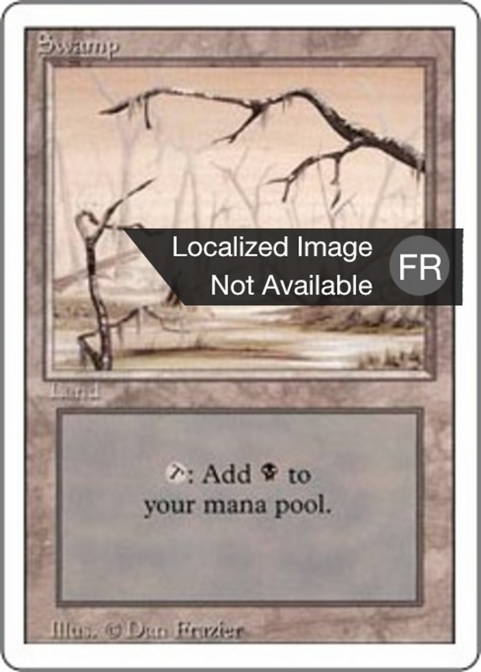 Swamp — Foreign White Border — Magic: The Gathering