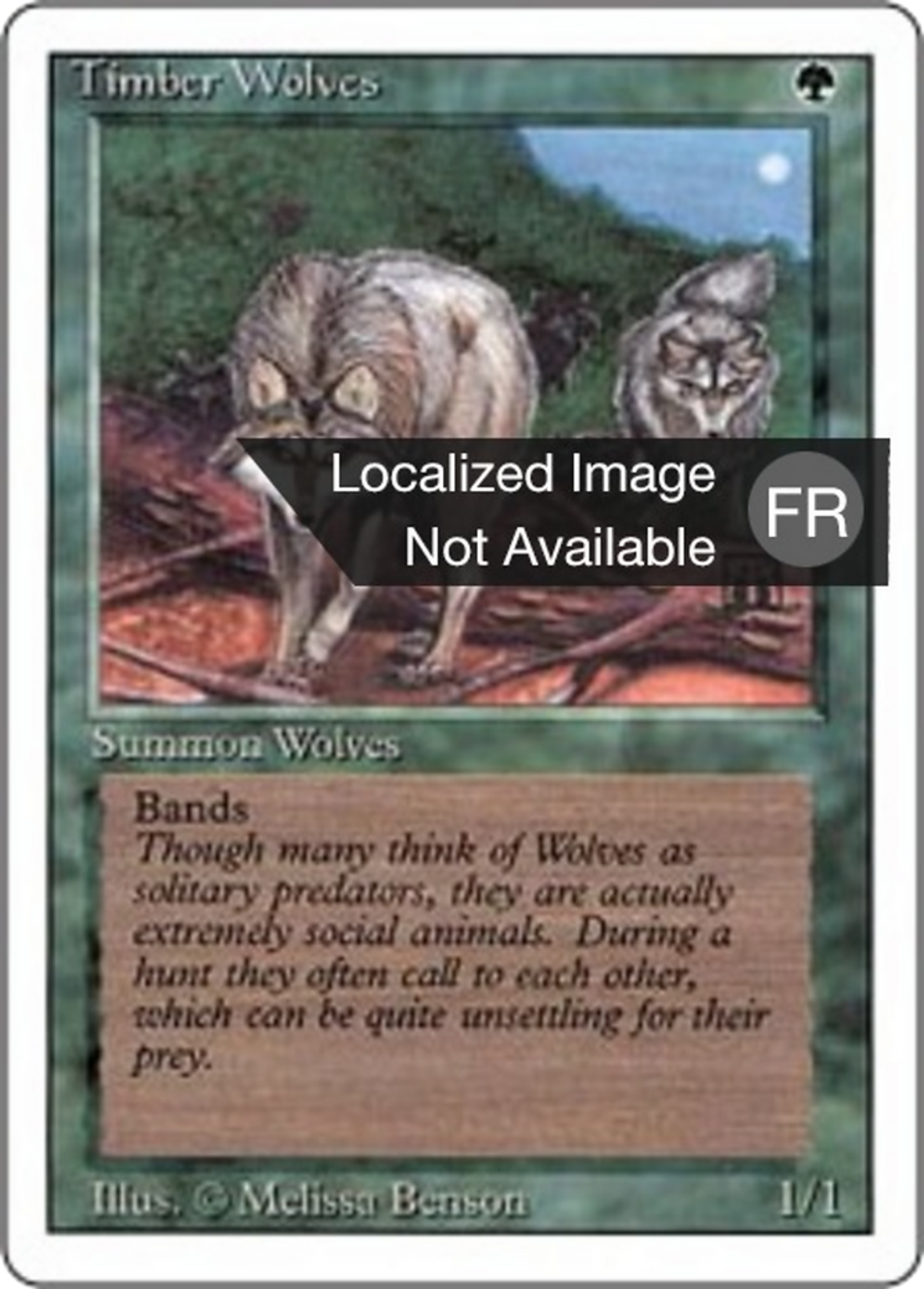 Loups des forêts — Foreign White Border — Magic: The Gathering