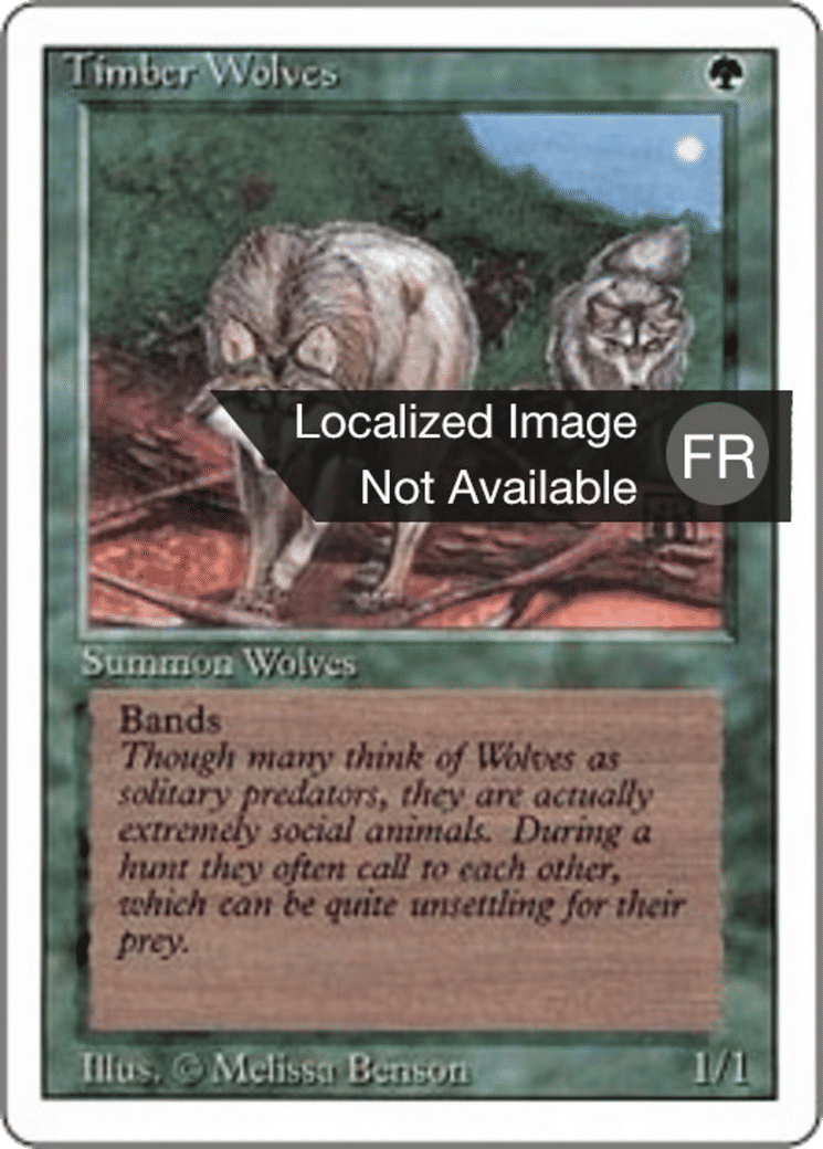 Loups des forêts — Foreign White Border — Magic: The Gathering