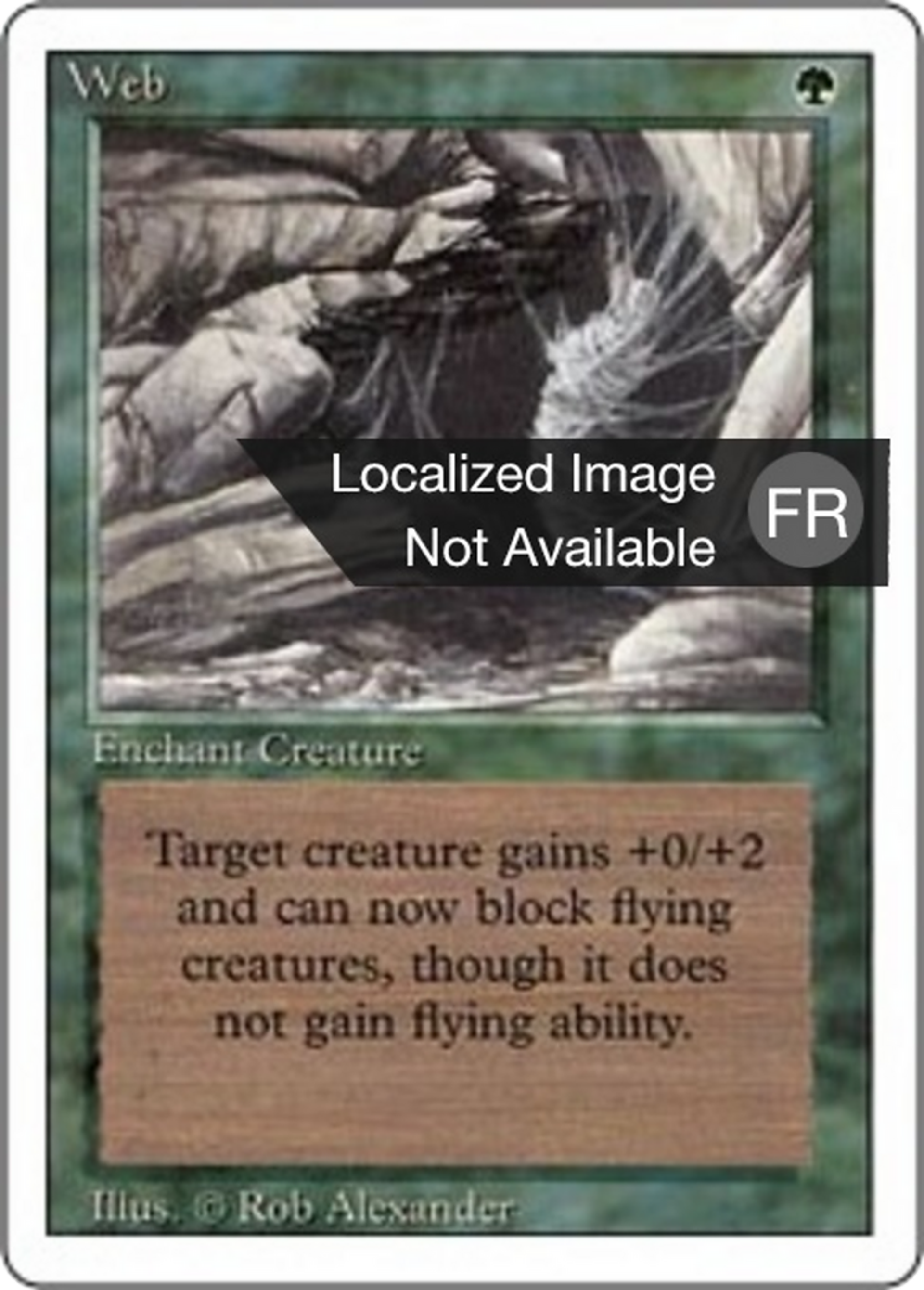 Web — Foreign White Border — Magic: The Gathering