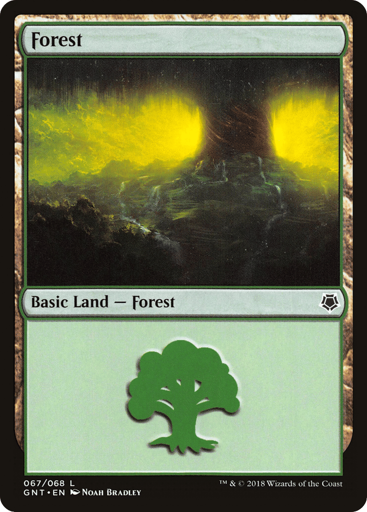 Forest — Game Night — Magic: The Gathering