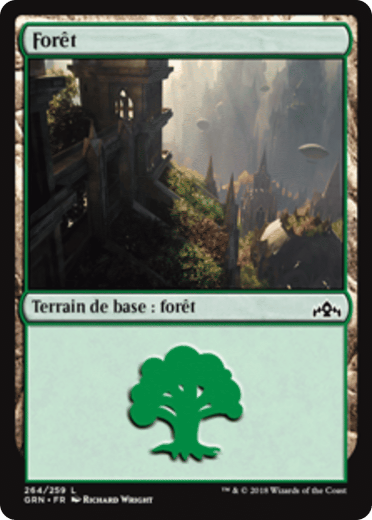 Forêt — Guilds of Ravnica — Magic: The Gathering