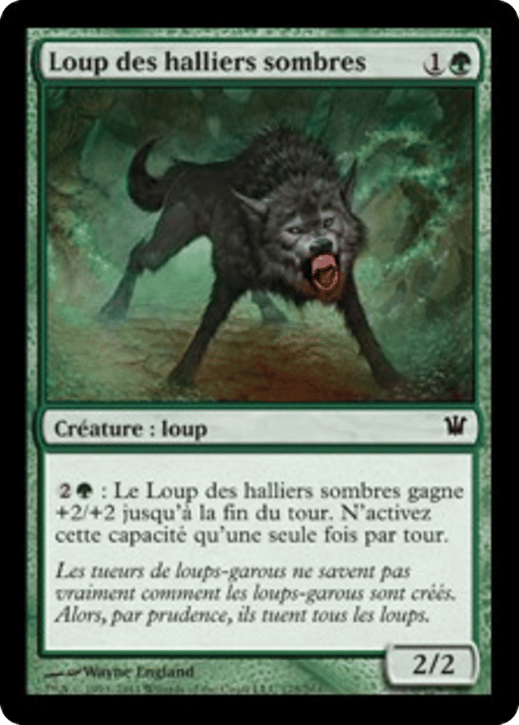 Loup des halliers sombres — Innistrad — Magic: The Gathering
