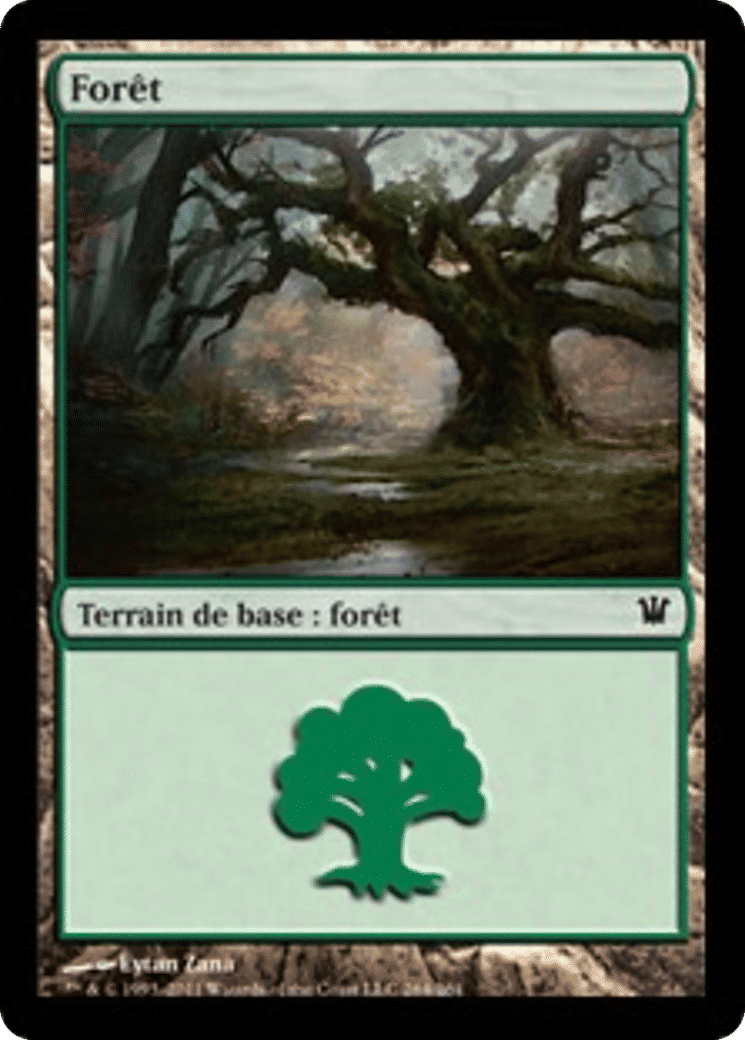 Forêt — Innistrad — Magic: The Gathering