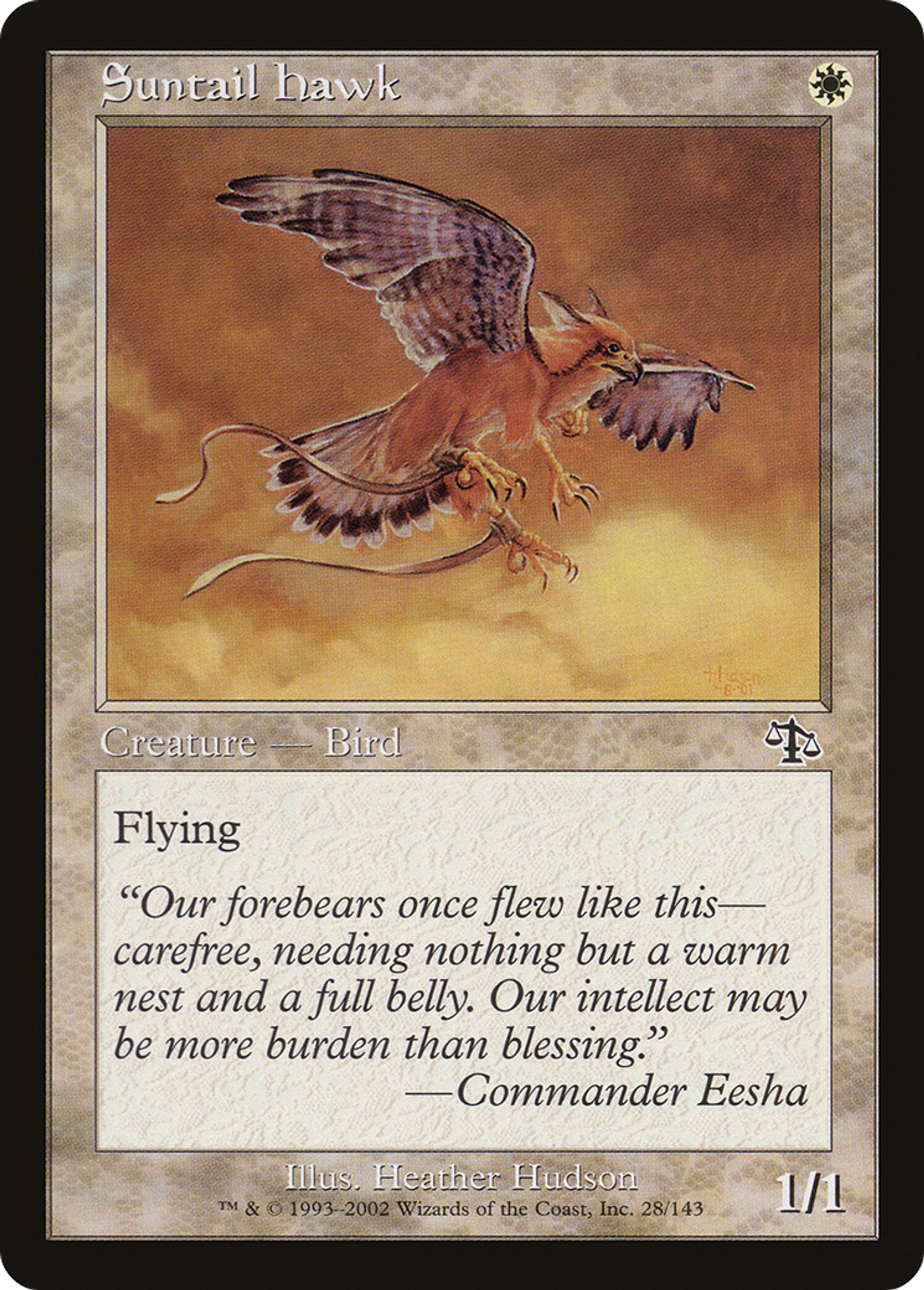Suntail Hawk — Judgment — Magic: The Gathering
