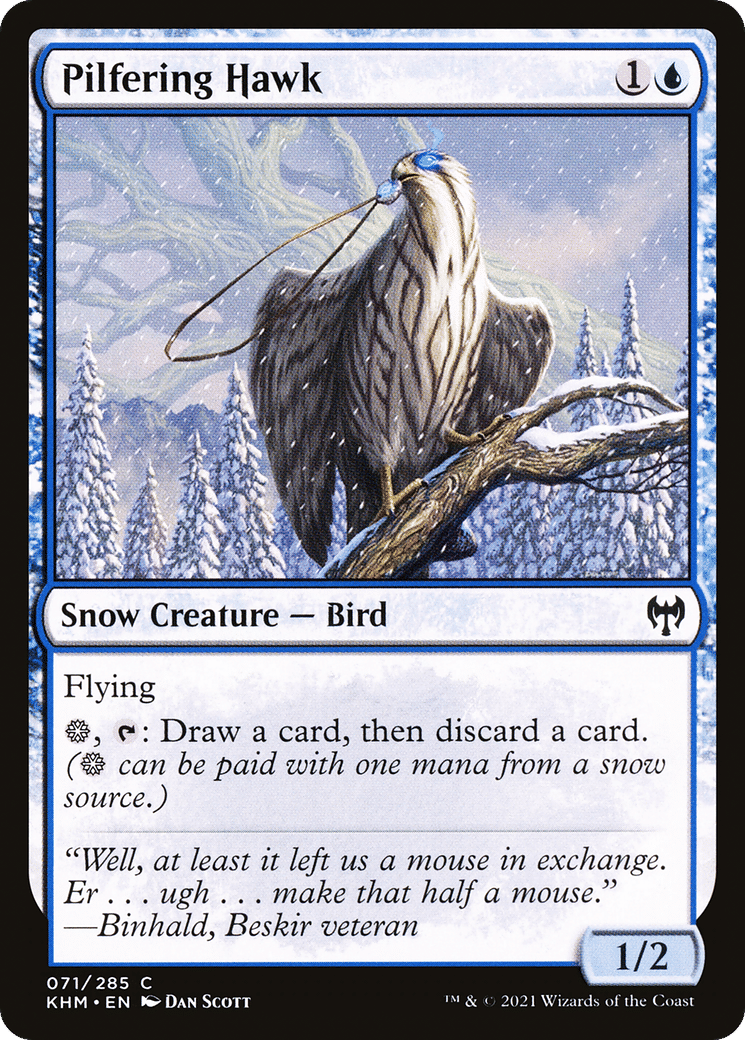 Pilfering Hawk — Kaldheim — Magic: The Gathering