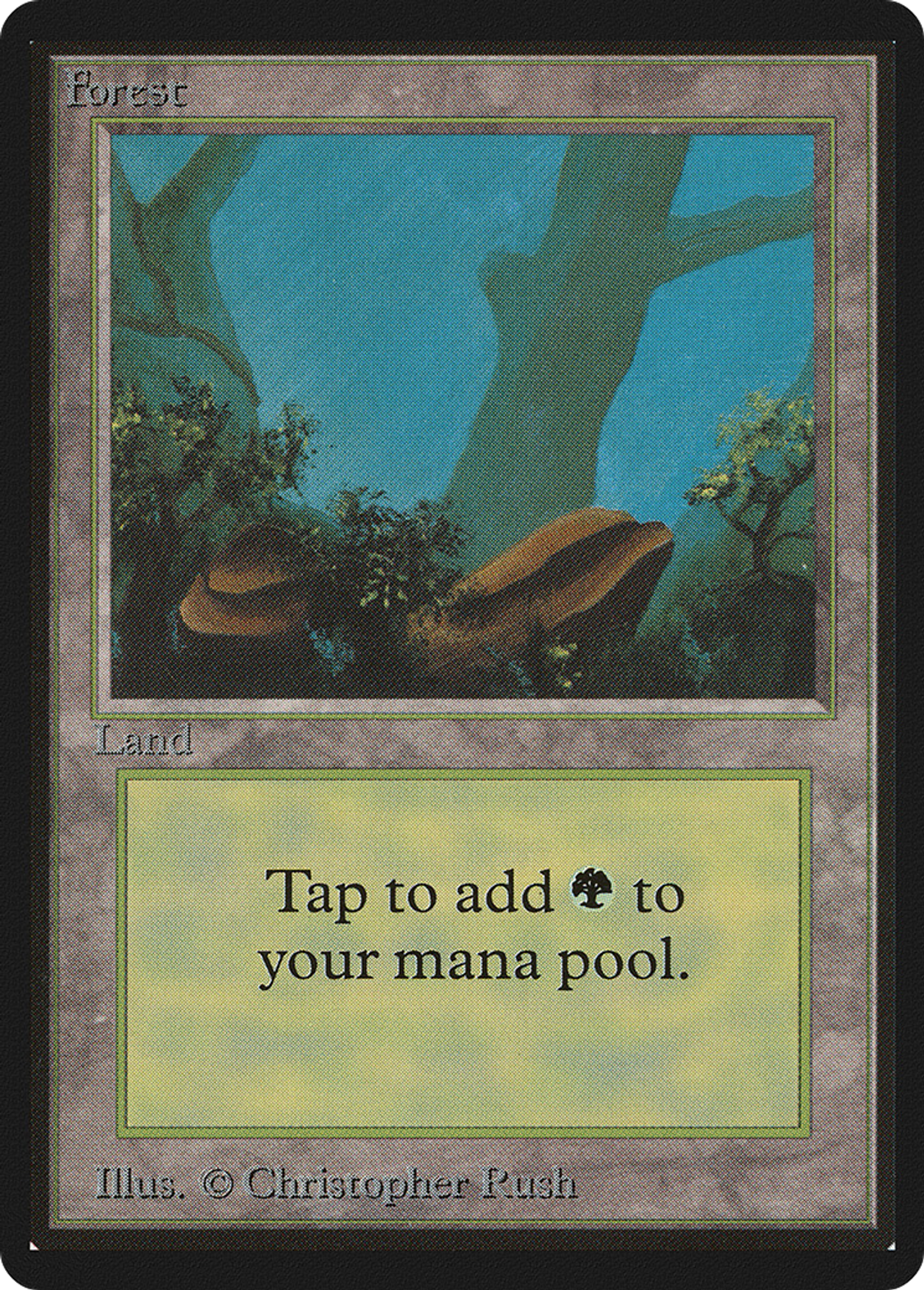 Forêt — Limited Edition Beta — Magic: The Gathering
