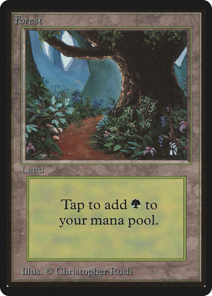 Forest — Limited Edition Beta — Magic: The Gathering