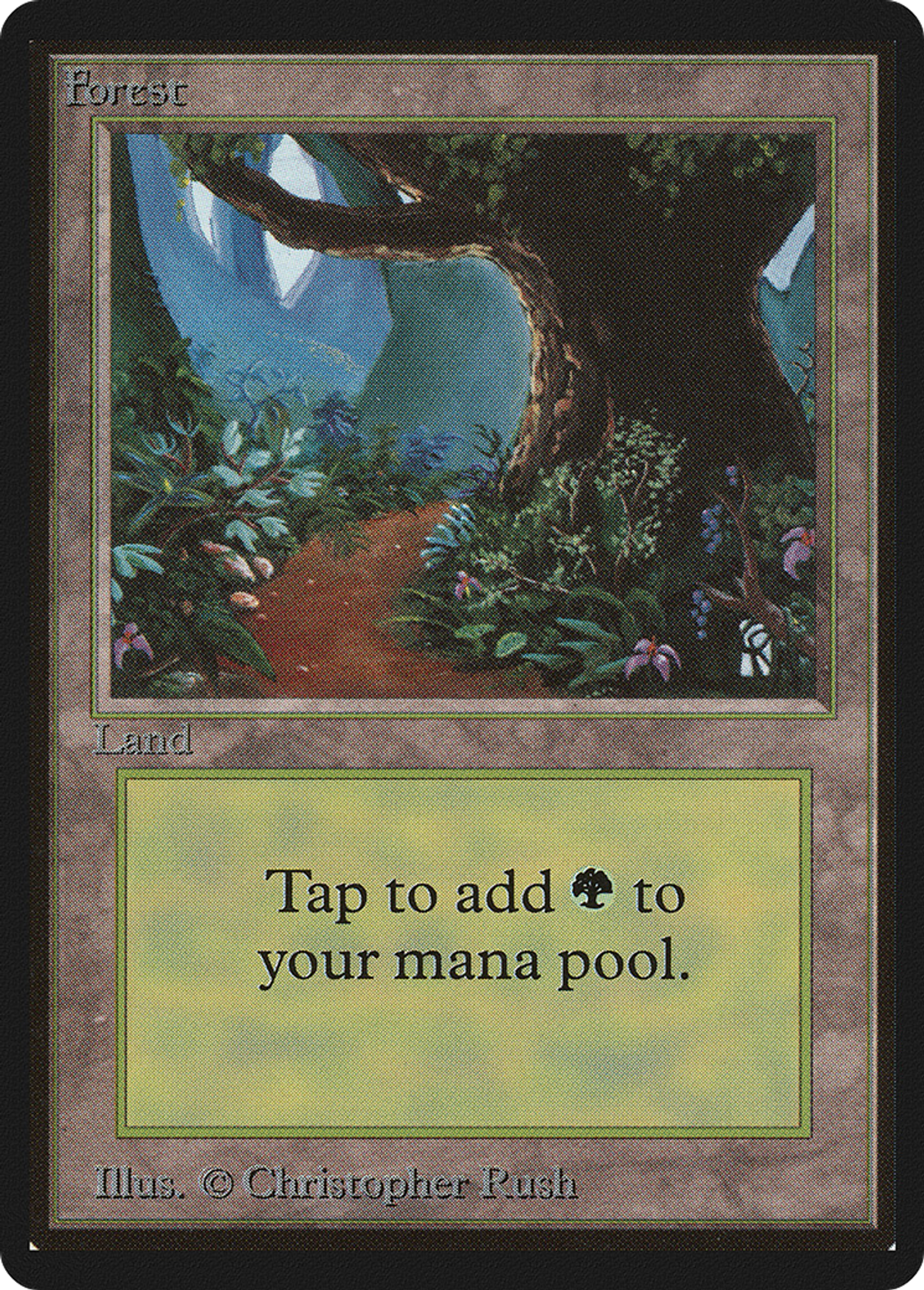 Forêt — Limited Edition Beta — Magic: The Gathering