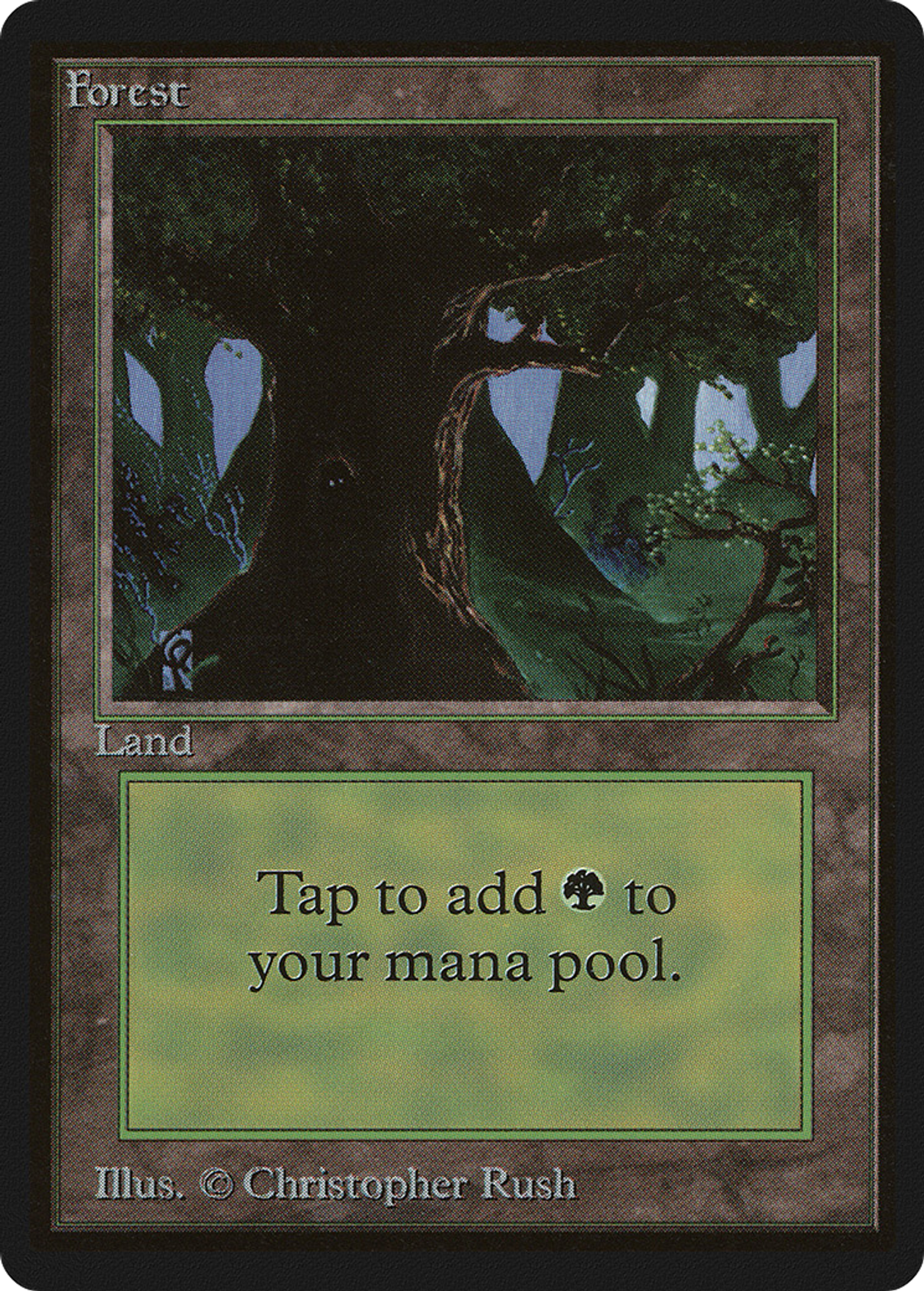 Forest — Limited Edition Beta — Magic: The Gathering