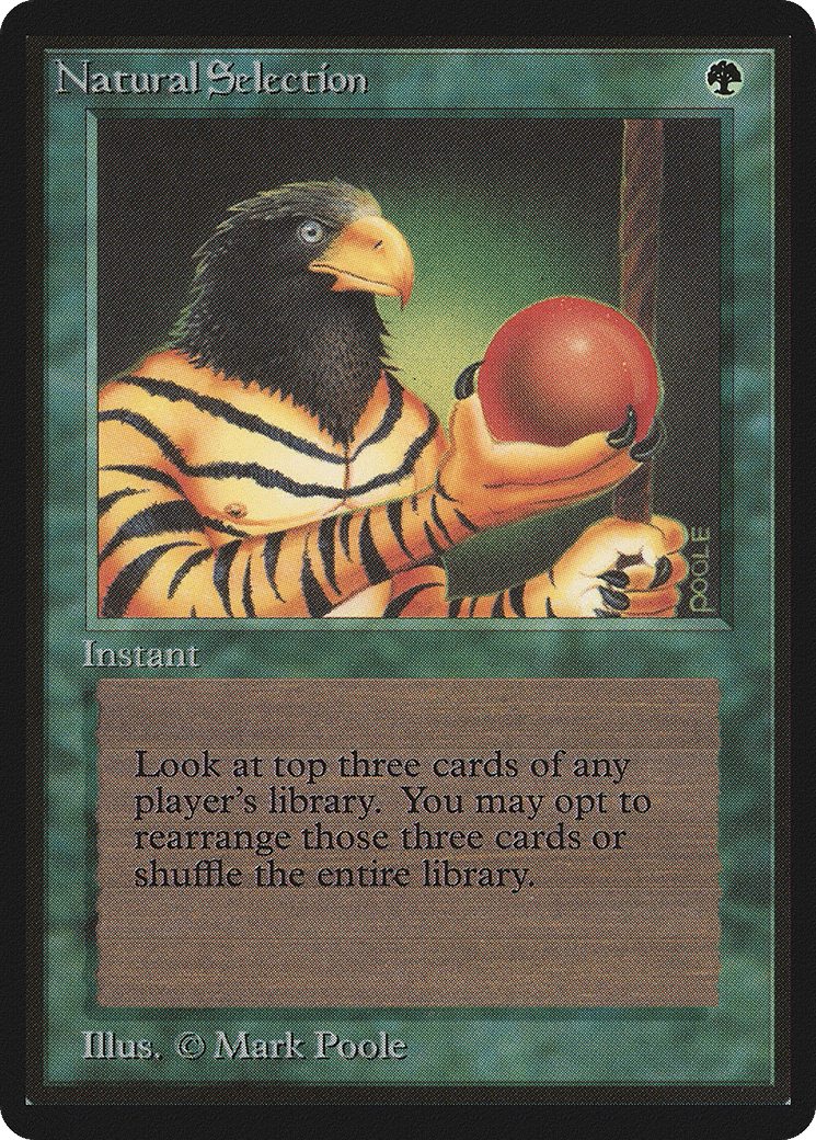 Natural Selection — Limited Edition Beta — Magic: The Gathering