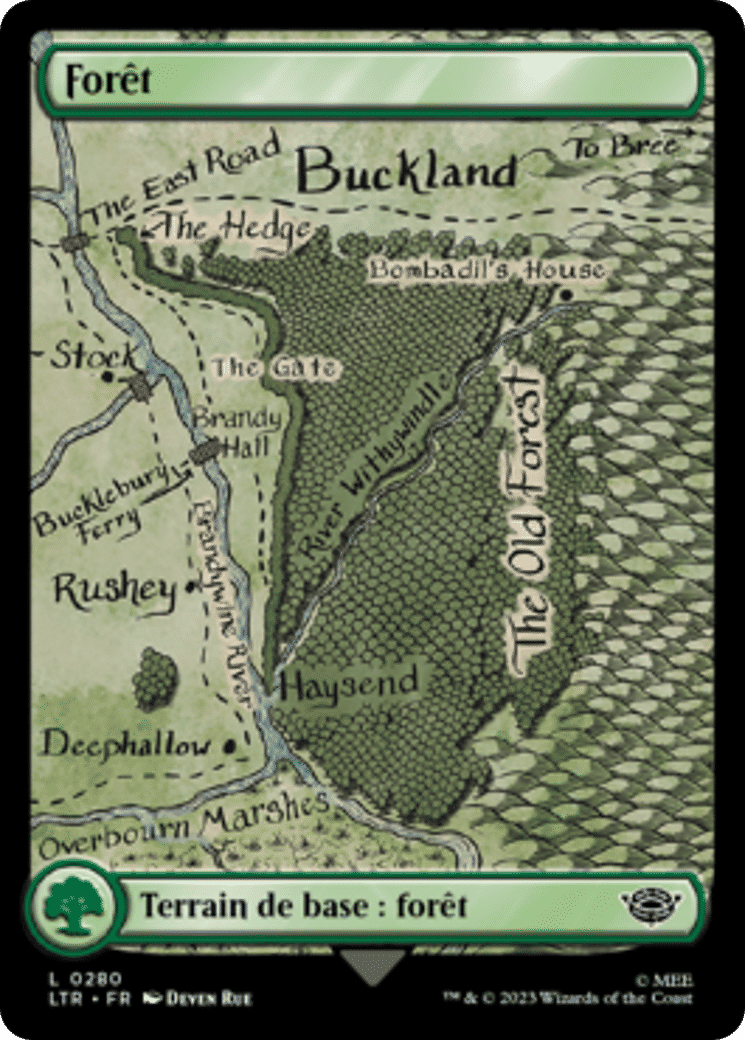 Forêt — The Lord of the Rings: Tales of Middle-earth — Magic: The Gathering
