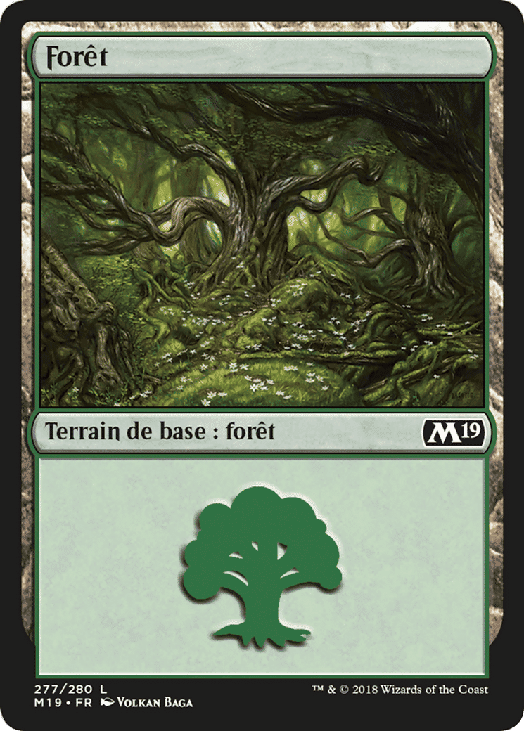 Forêt — Core Set 2019 — Magic: The Gathering