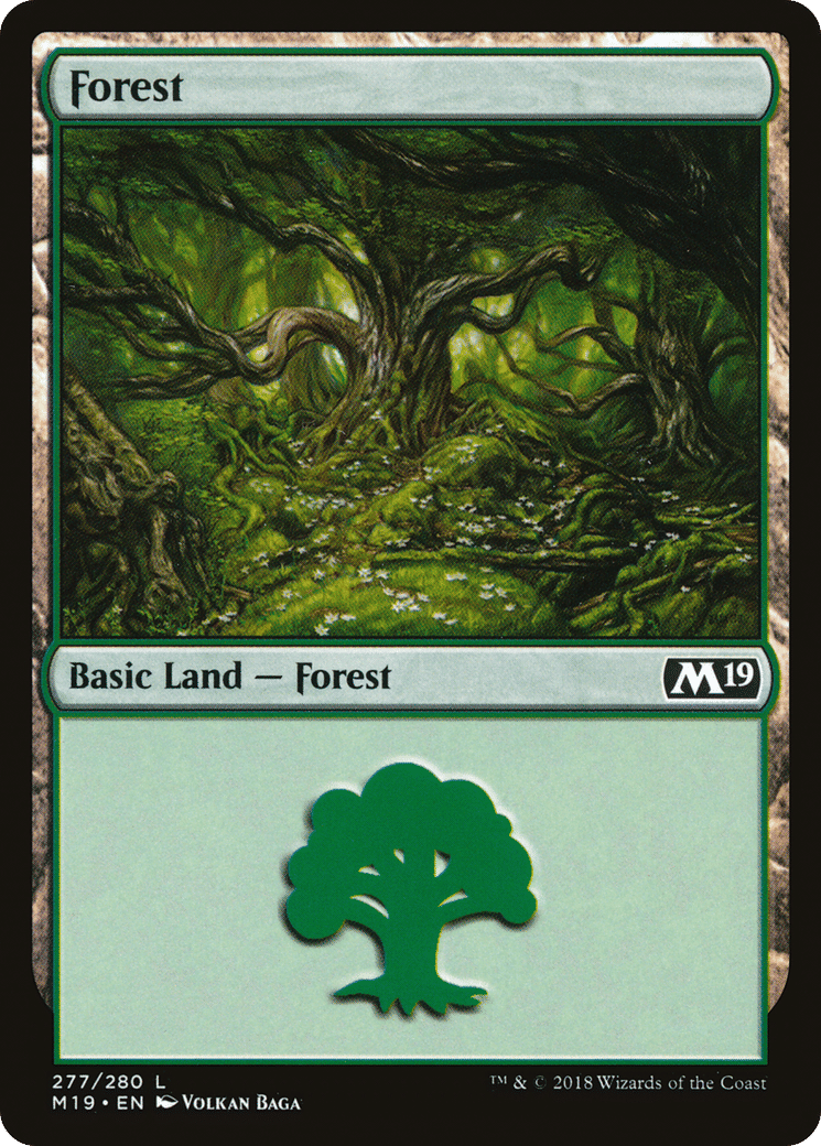 Forest — Core Set 2019 — Magic: The Gathering